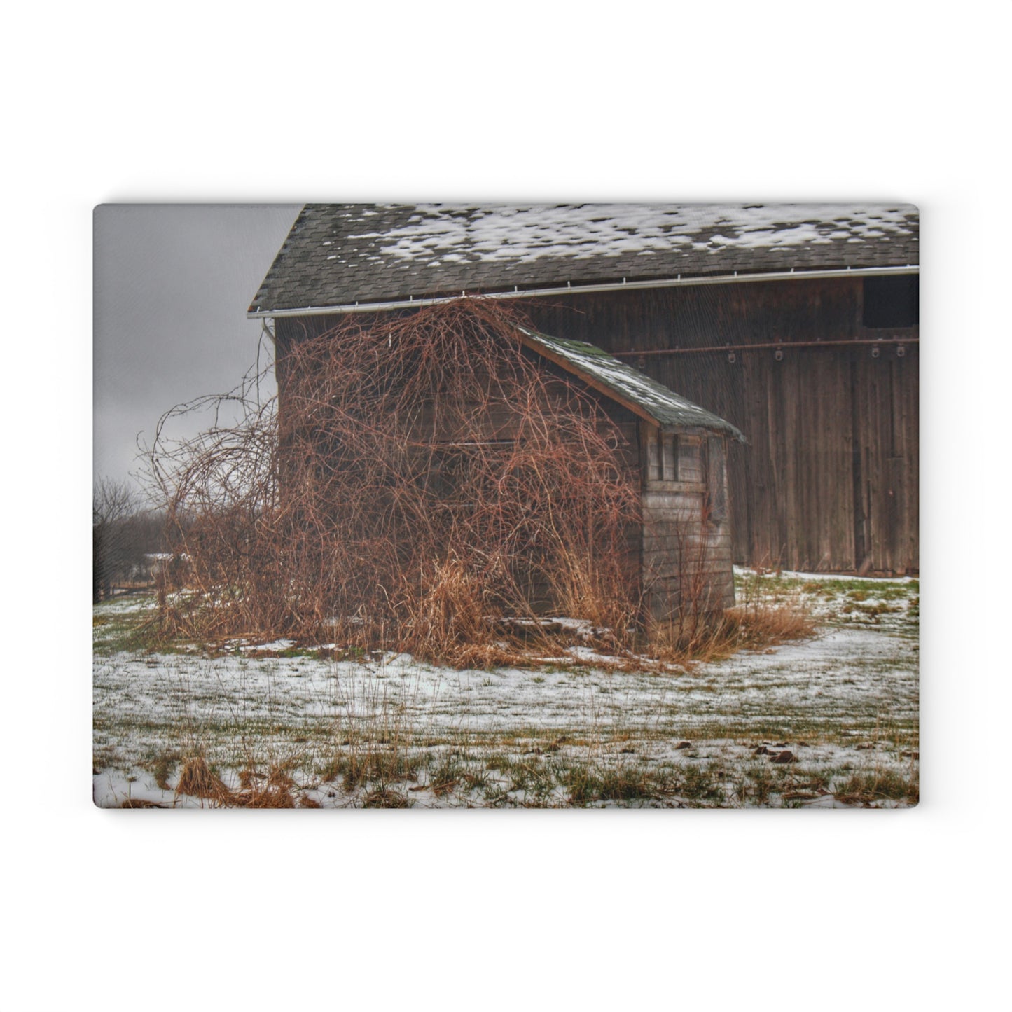 U R There Photography Wilder Road Little Winter Grey Rustic Farmhouse Tempered-Glass Cutting Board
