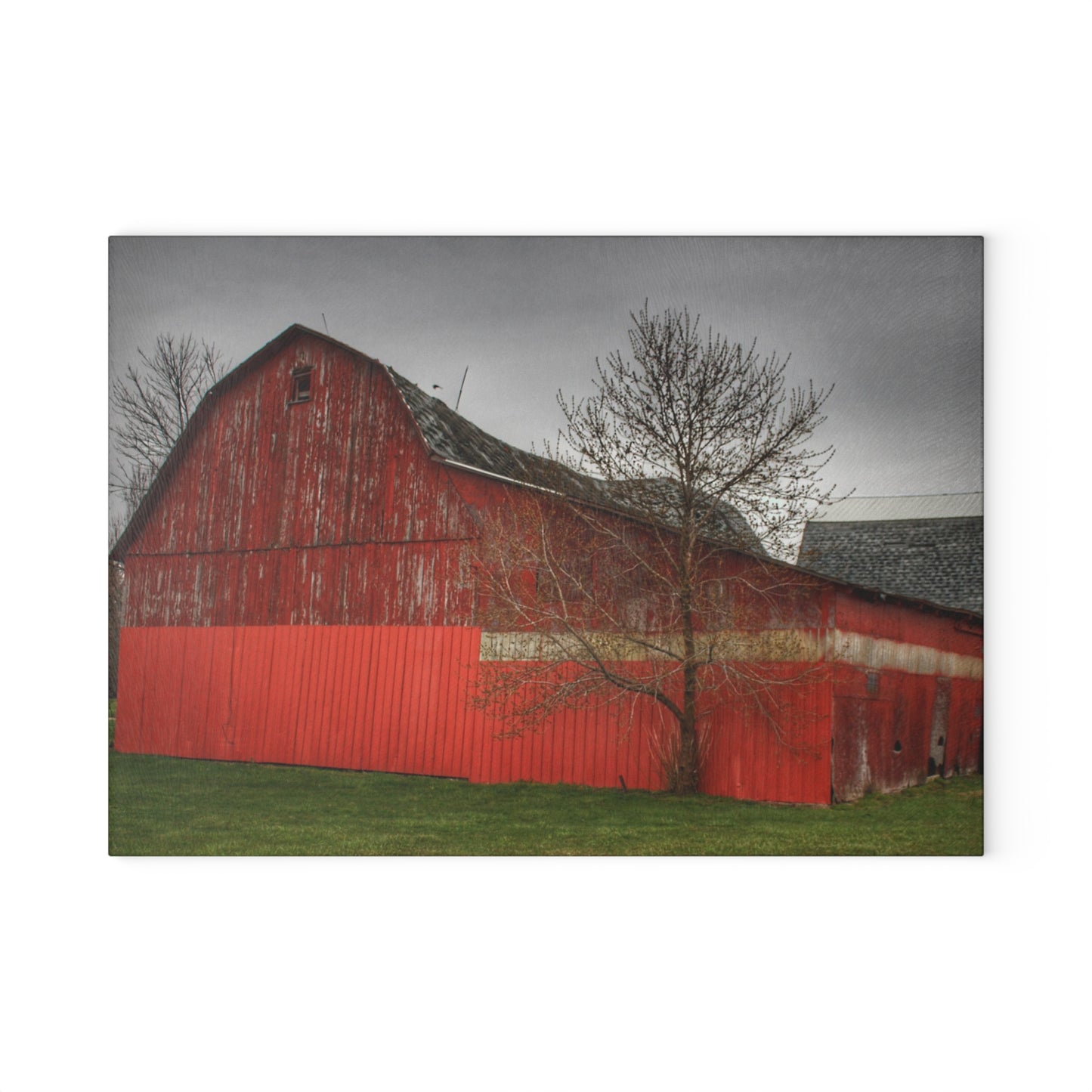 U R There Photography Almont Reds Rustic Farmhouse Tempered-Glass Cutting Board