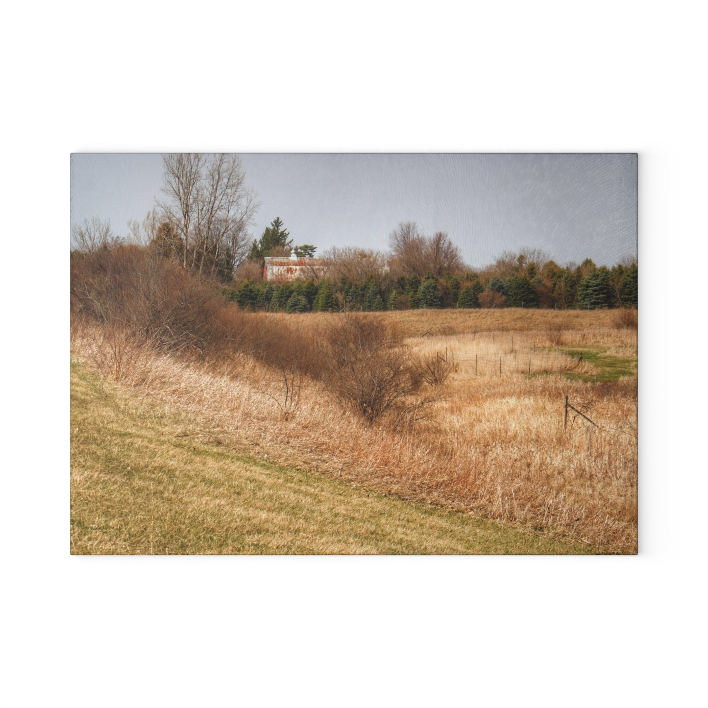 U R There Photography Beyond the Short Pines Rustic Farmhouse Tempered-Glass Cutting Board