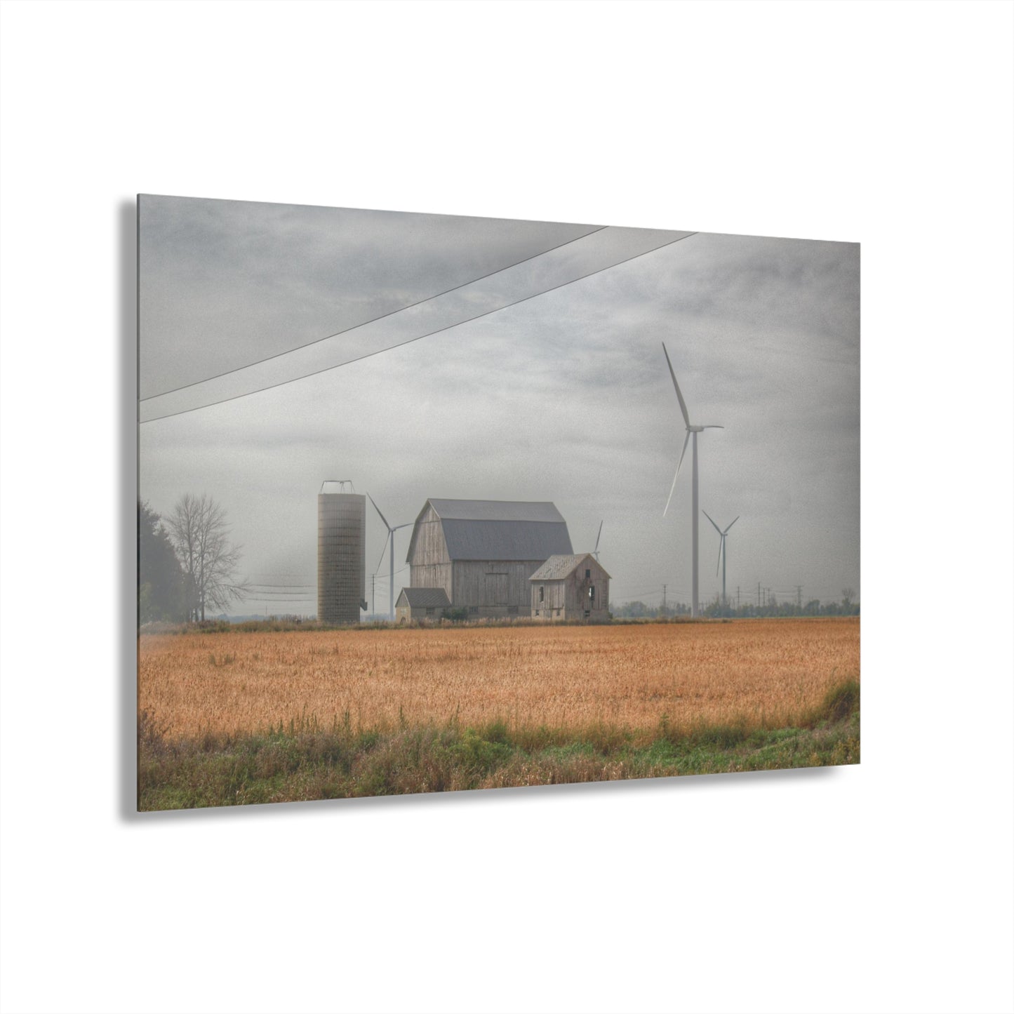 U R There Photography Pinabog Greys Rustic Farmhouse Acrylic Wall Print 14 "x 11"