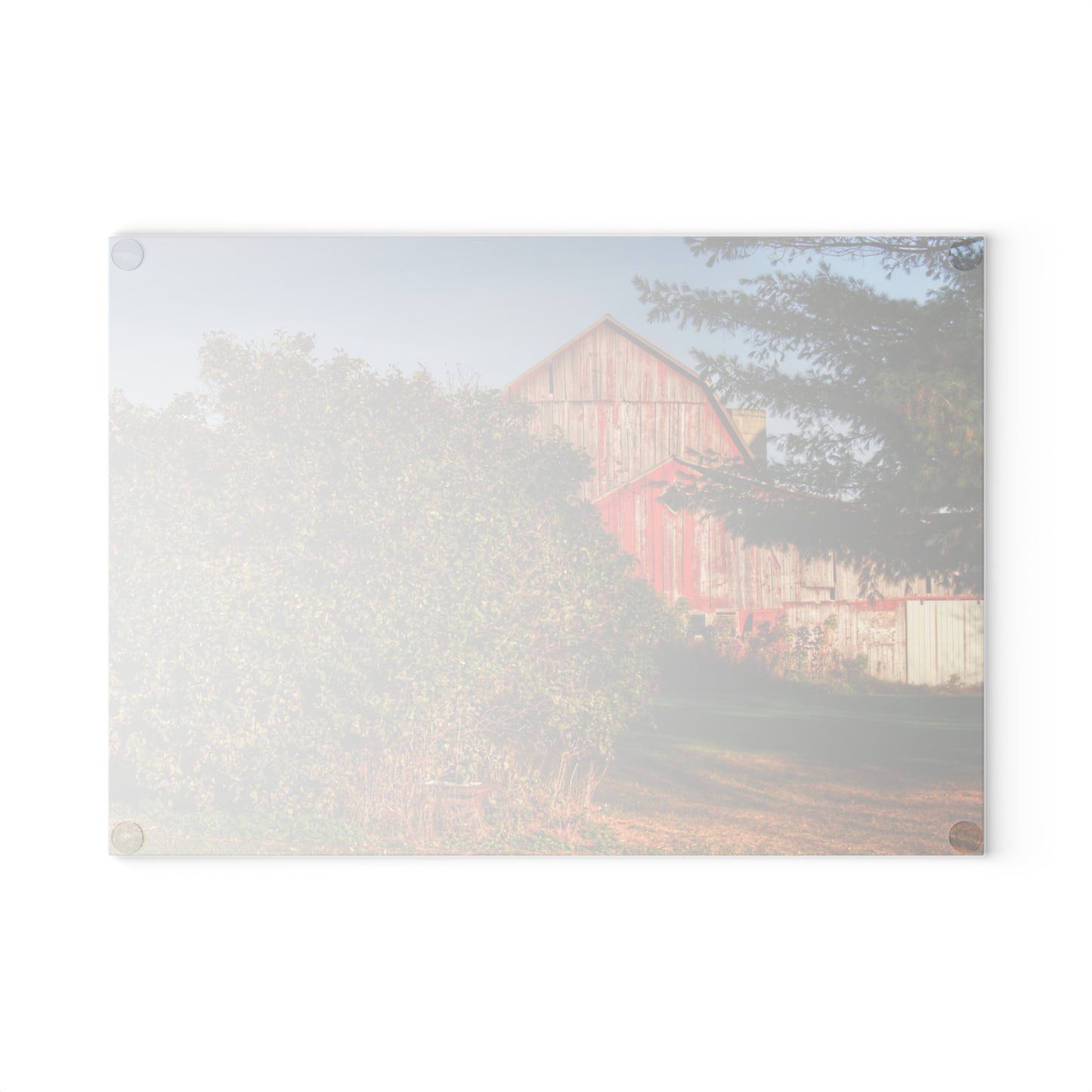 U R There Photography Cade Road Red II Rustic Farmhouse Tempered-Glass Cutting Board