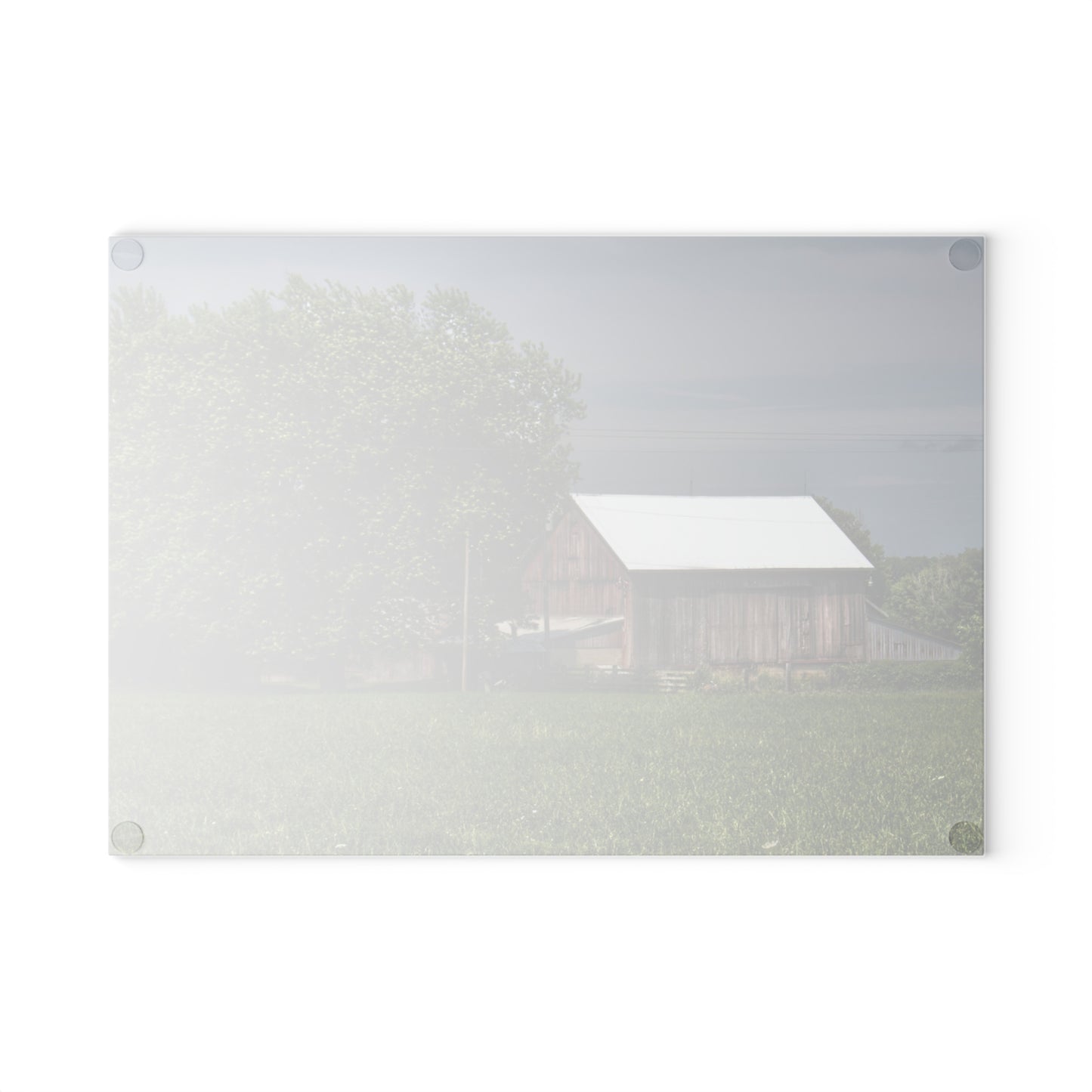 U R There Photography Castle Road Cow Barn III Rustic Farmhouse Tempered-Glass Cutting Board