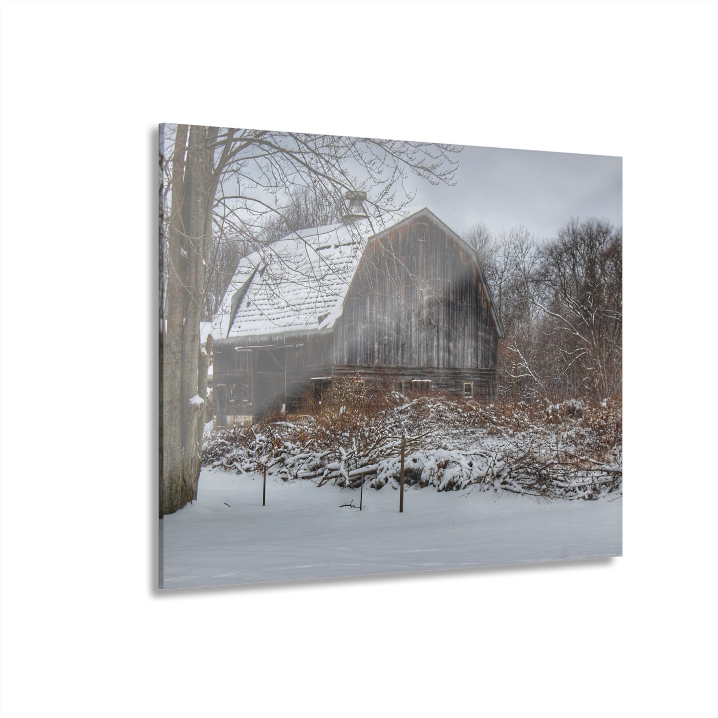 U R There Photography Vassar Road Hidden Grey in Winter Rustic Farmhouse Acrylic Wall Print