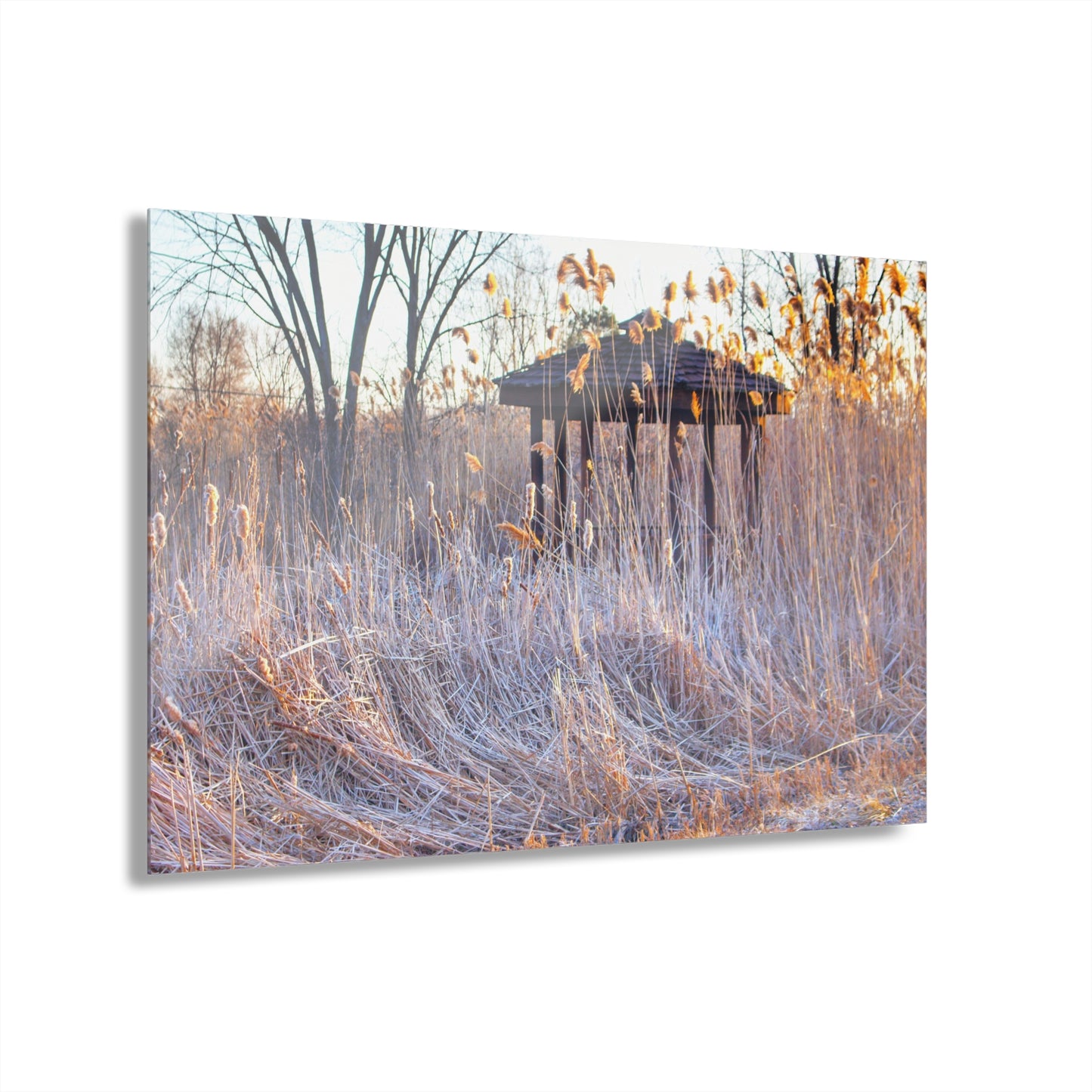 U R There Photography Haines Hidden Gazebo Rustic Farmhouse Acrylic Wall Print