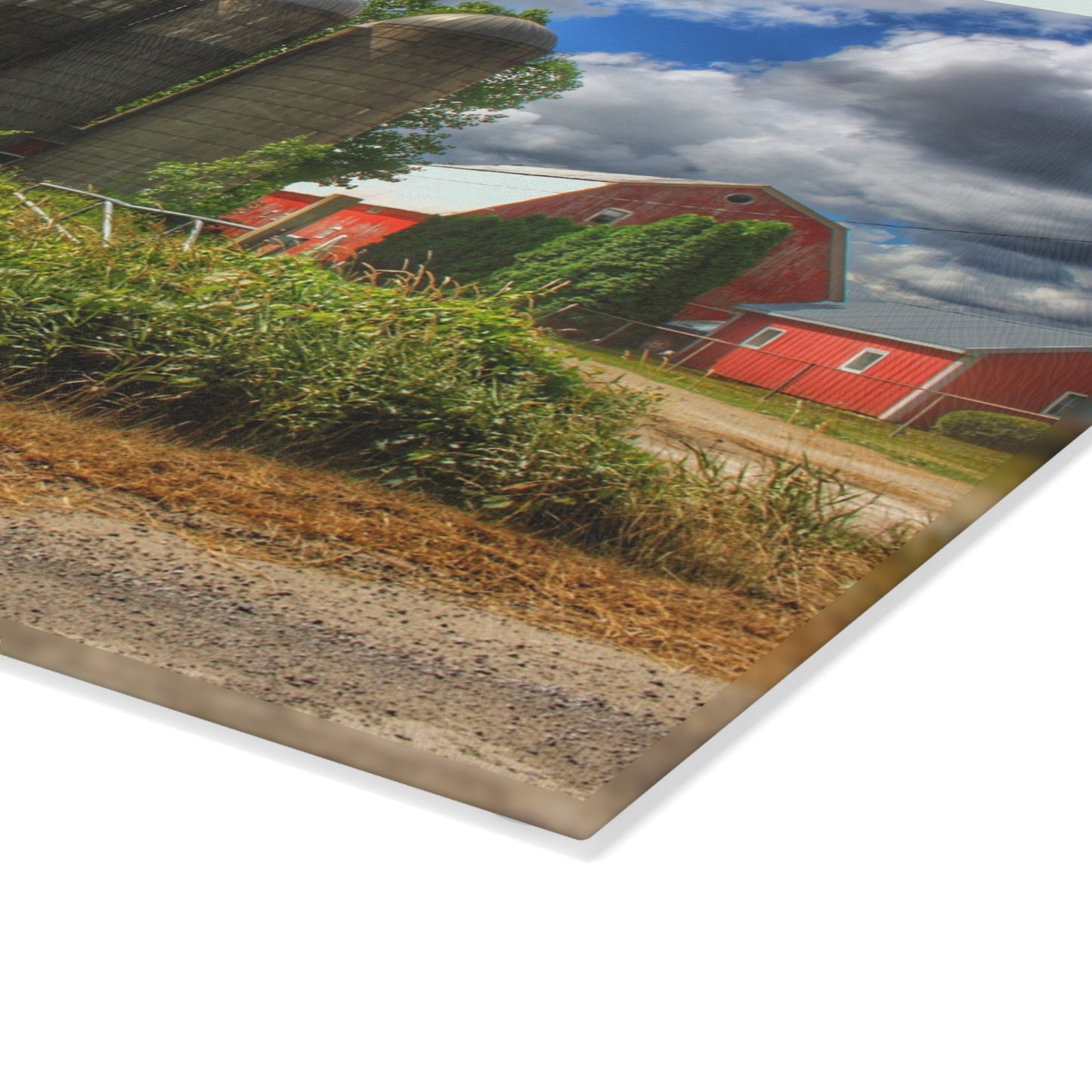 U R There Photography Shelby Red II Rustic Farmhouse Tempered-Glass Cutting Board