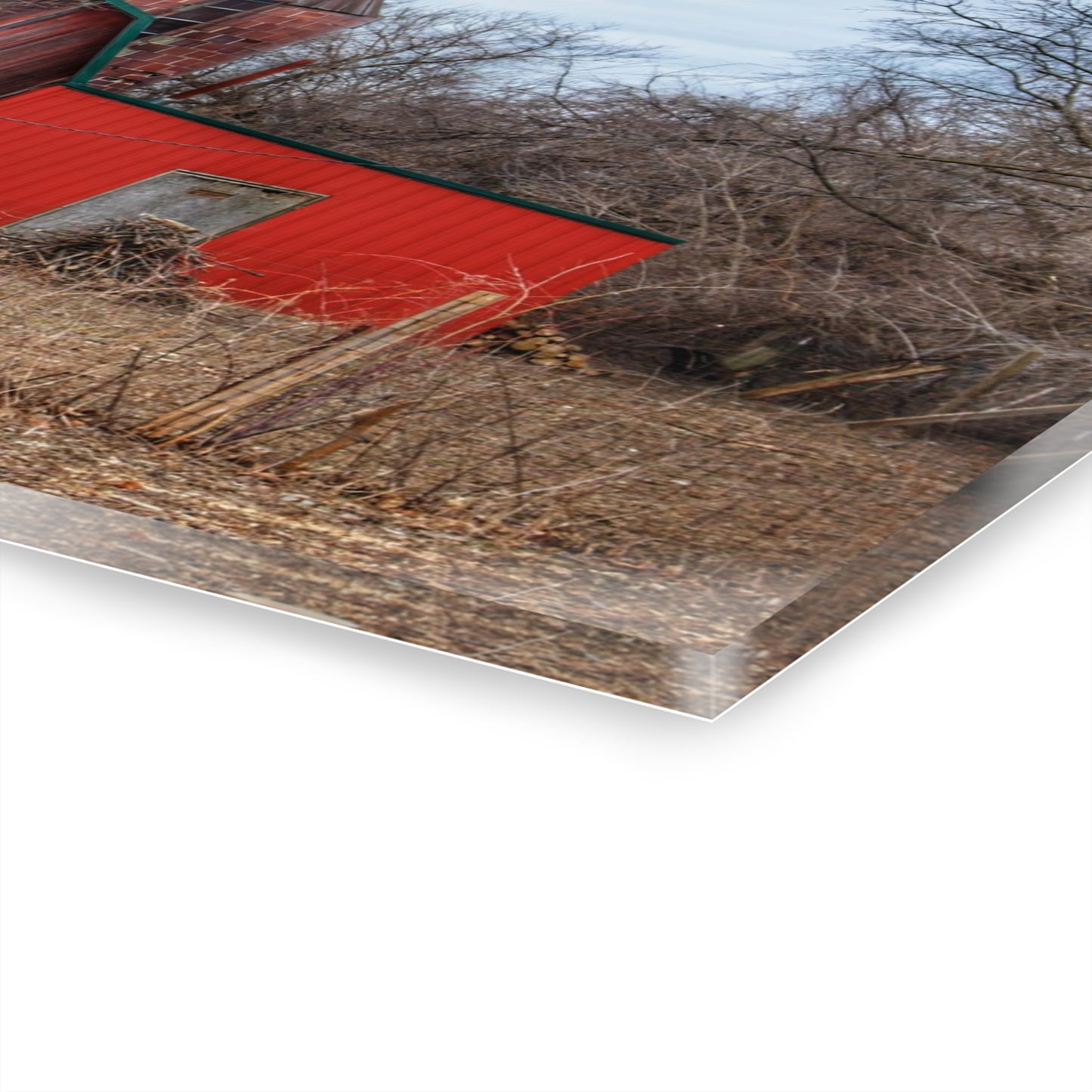 U R There Photography Bray Road Hidden Barnyard Red I Rustic Farmhouse Acrylic Wall Print