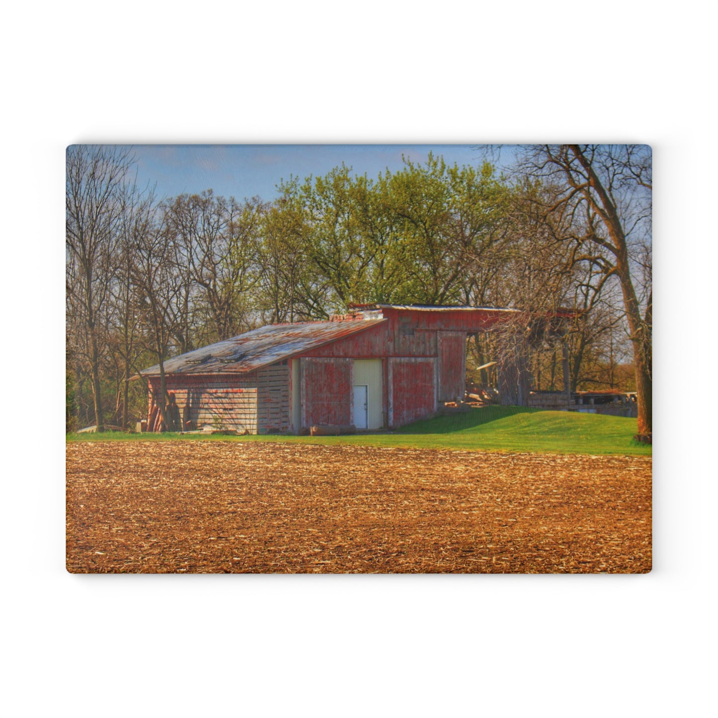 U R There Photography Sohn Roadside Relic Rustic Farmhouse Tempered-Glass Cutting Board