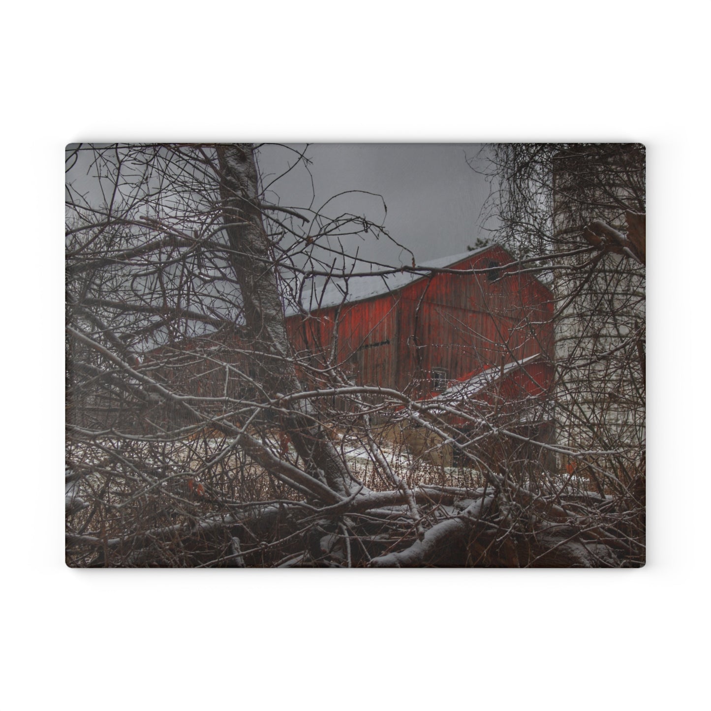 U R There Photography Sandhill Road Hidden Red II Rustic Farmhouse Tempered-Glass Cutting Board