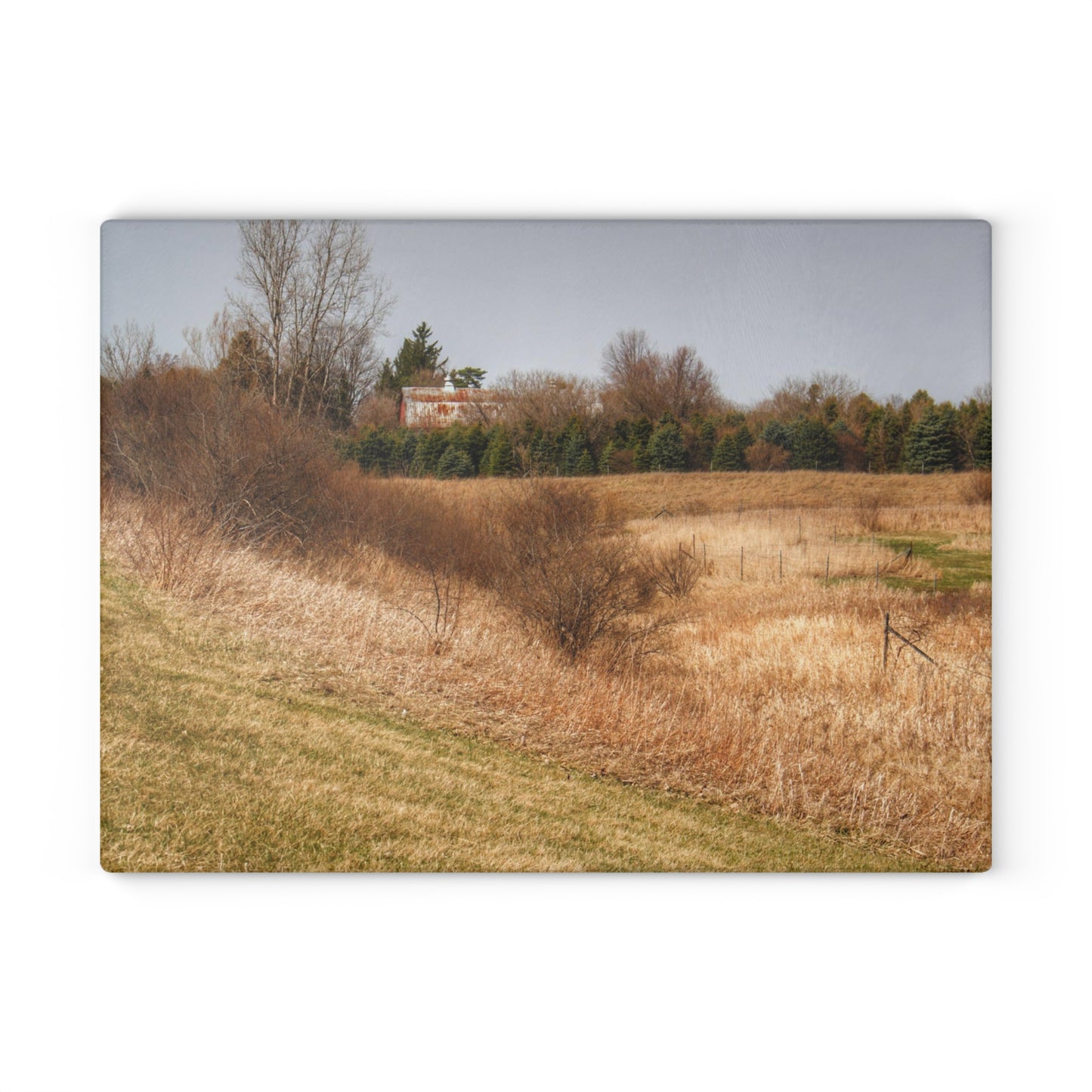 U R There Photography Beyond the Short Pines Rustic Farmhouse Tempered-Glass Cutting Board