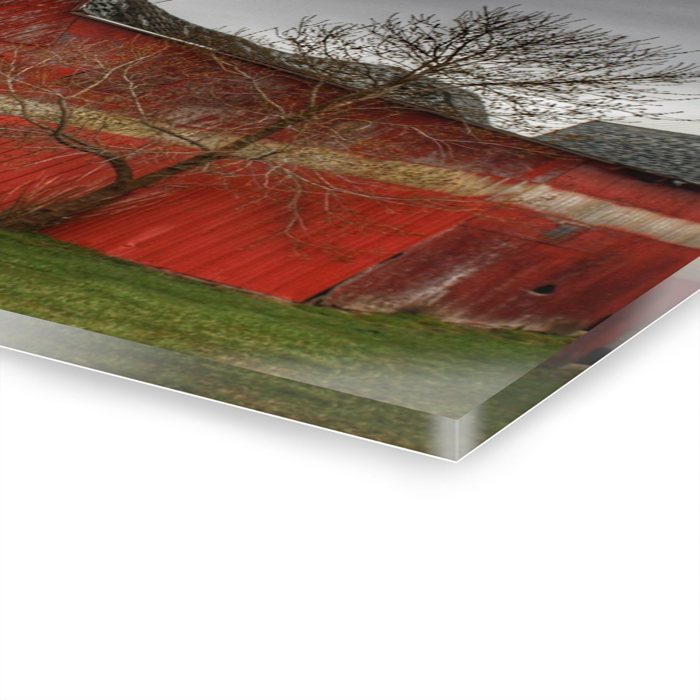 U R There Photography Almont Reds Rustic Farmhouse Acrylic Wall Print