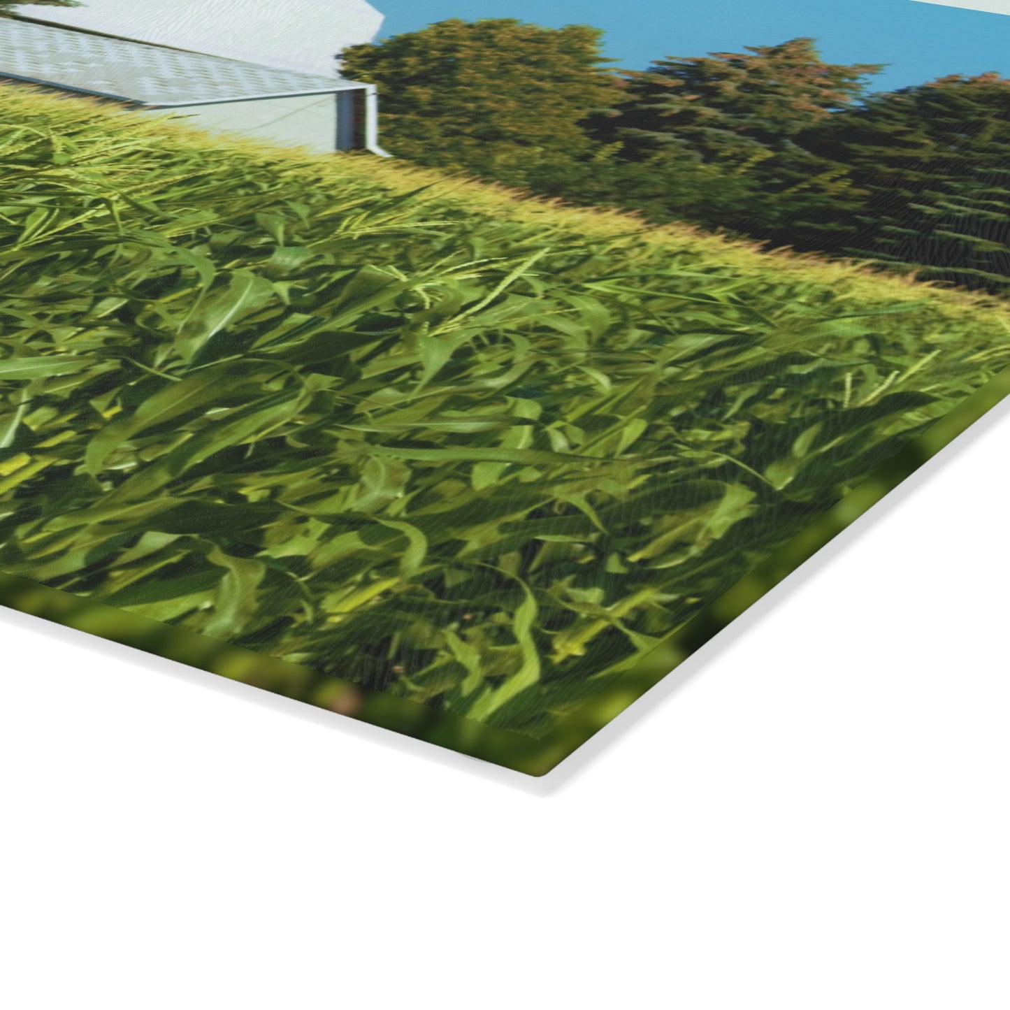 U R There Photography White Cornfield Barn Rustic Farmhouse Tempered-Glass Cutting Board