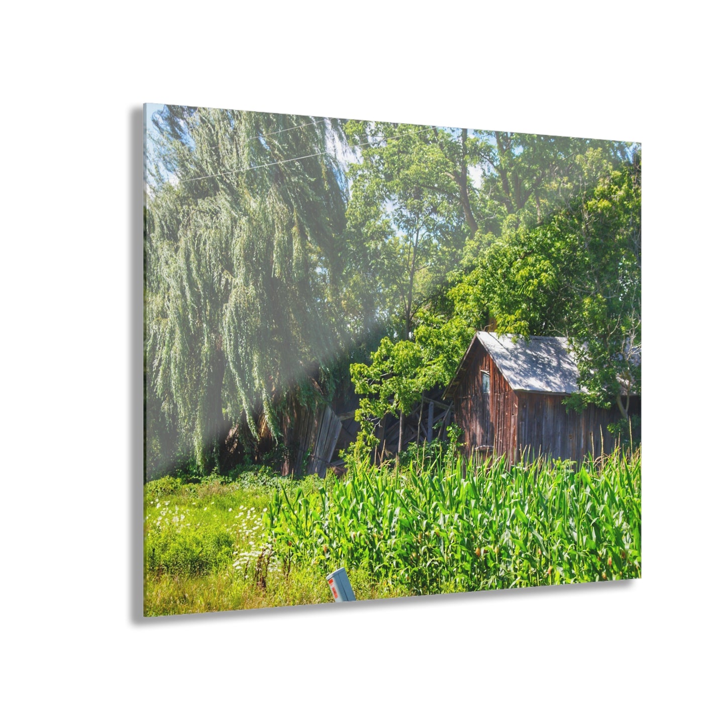 U R There Photography Roadside Ruin Rustic Farmhouse Acrylic Wall Print