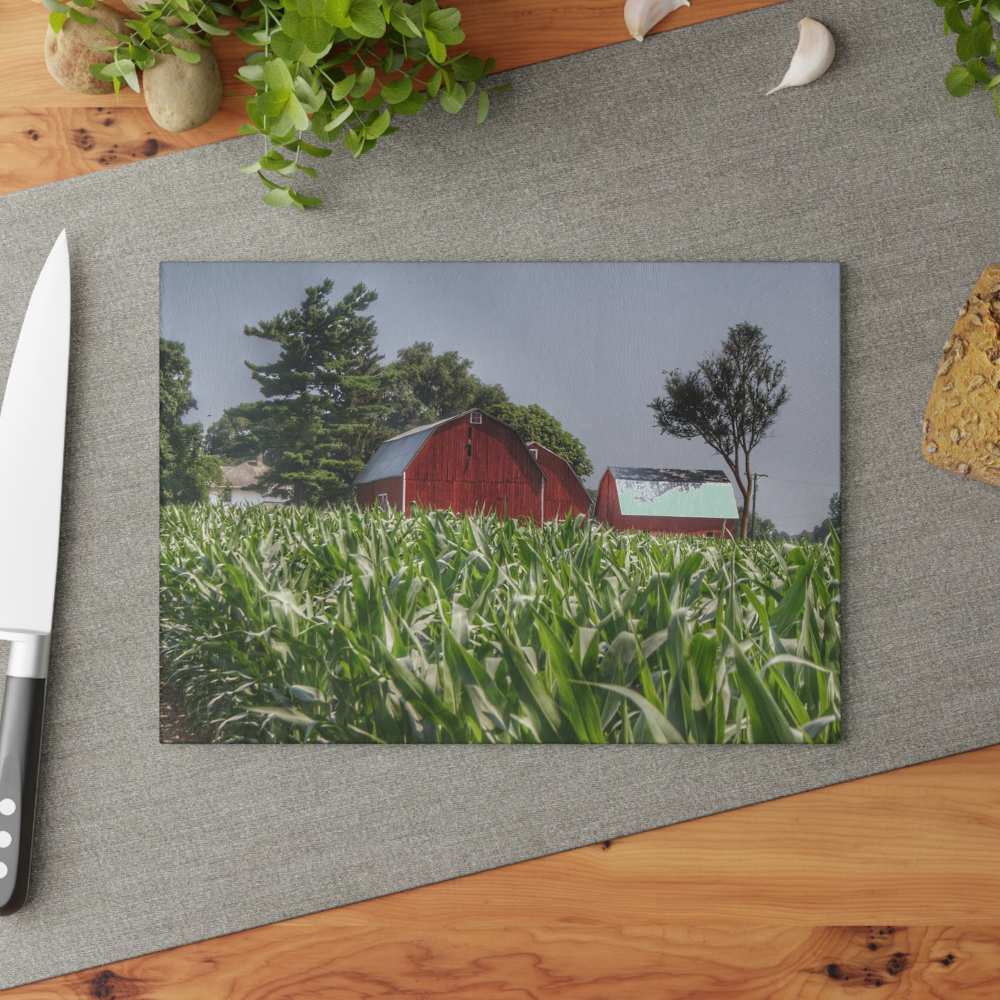 U R There Photography Shoemaker Reds Rustic Farmhouse Tempered-Glass Cutting Board