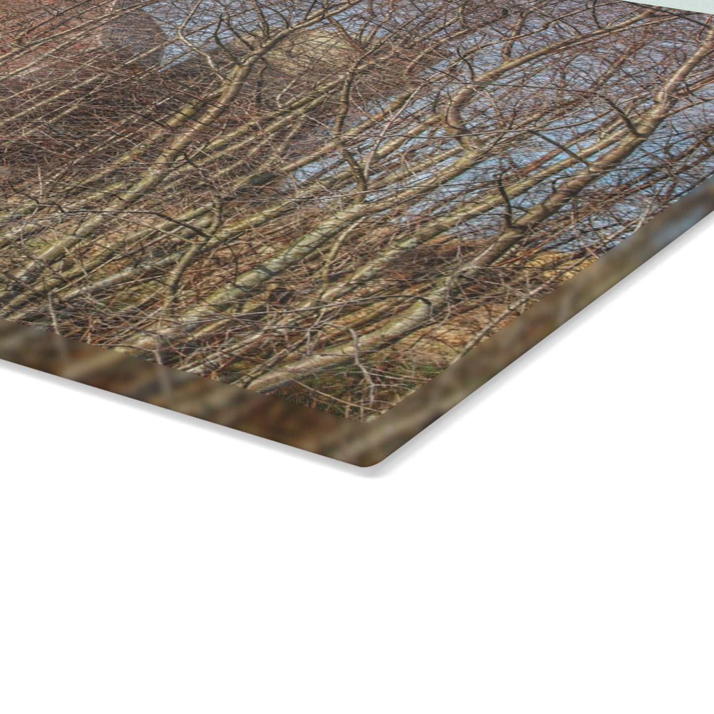 U R There Photography Otter Lake Hidden Red Rustic Farmhouse Tempered-Glass Cutting Board