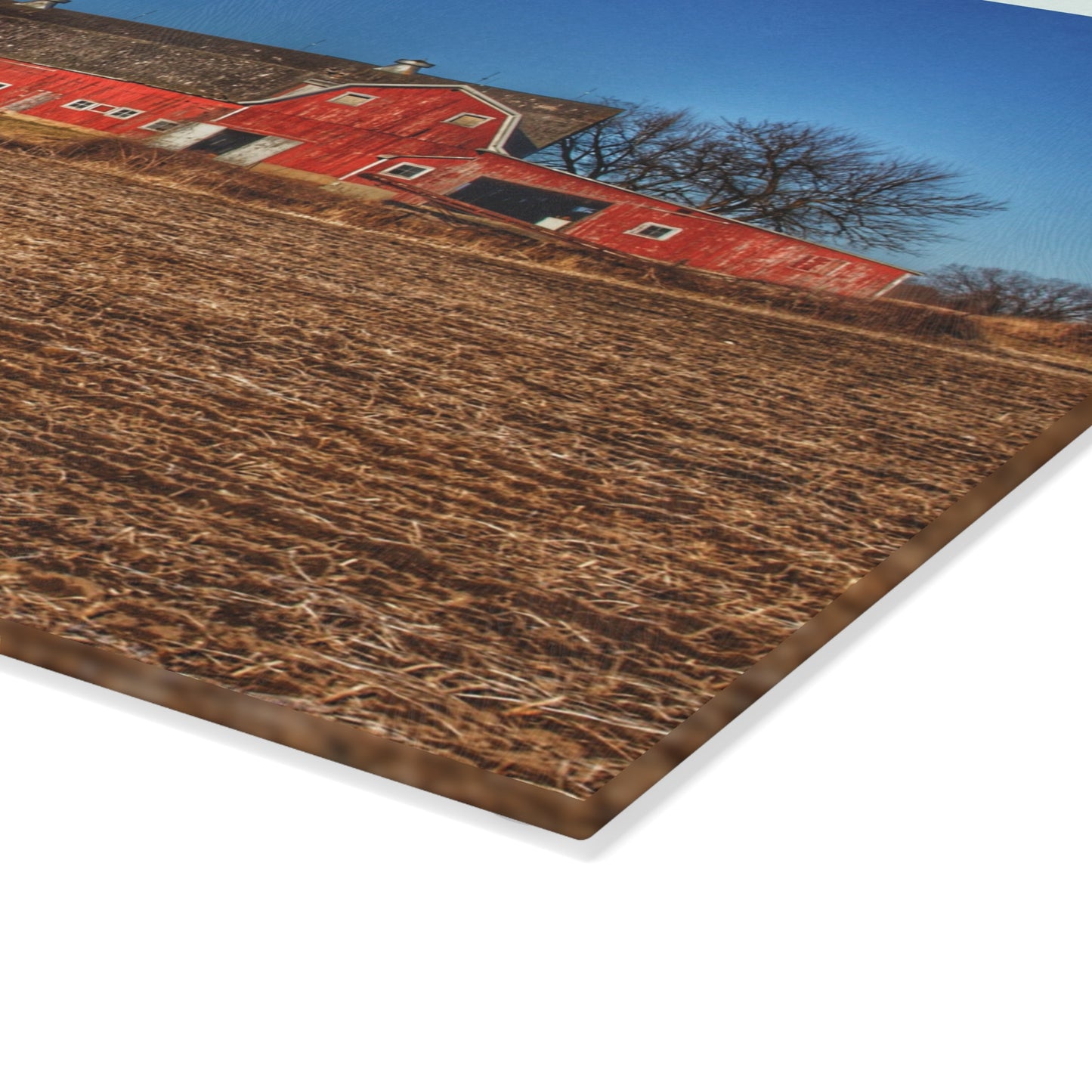 U R There Photography Rochester Road Red II Rustic Farmhouse Tempered-Glass Cutting Board