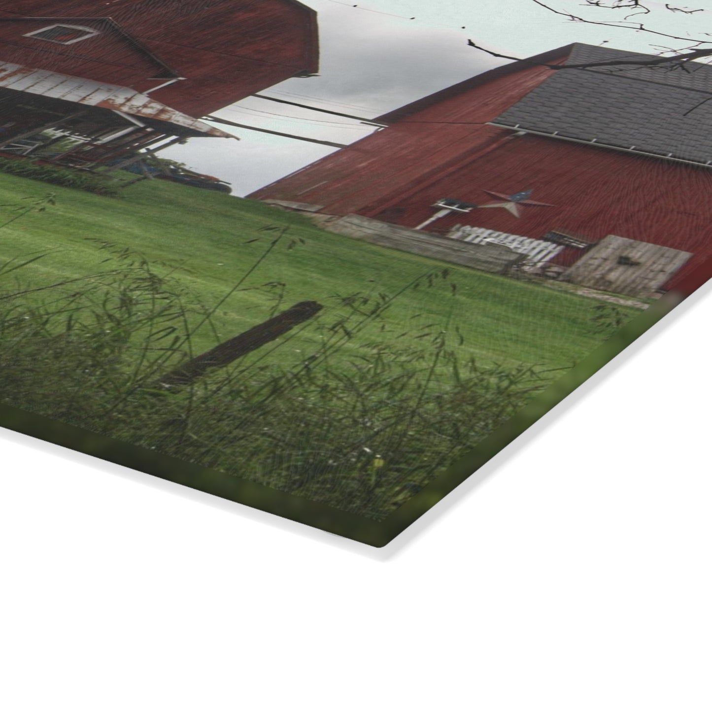 U R There Photography Bishop Road Reds II Rustic Farmhouse Tempered-Glass Cutting Board 8"x 11"