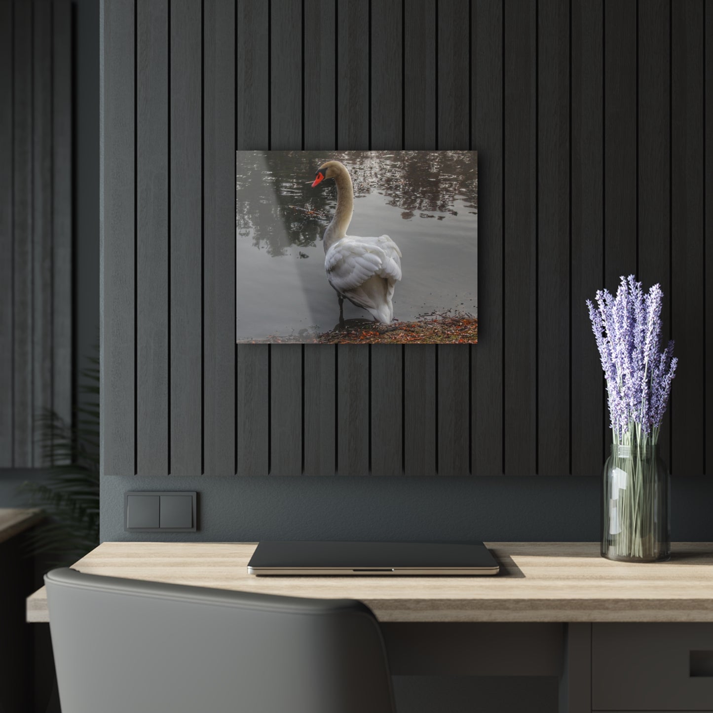 U R There Photography Swans of Duck Lake III Rustic Farmhouse Acrylic Wall Print