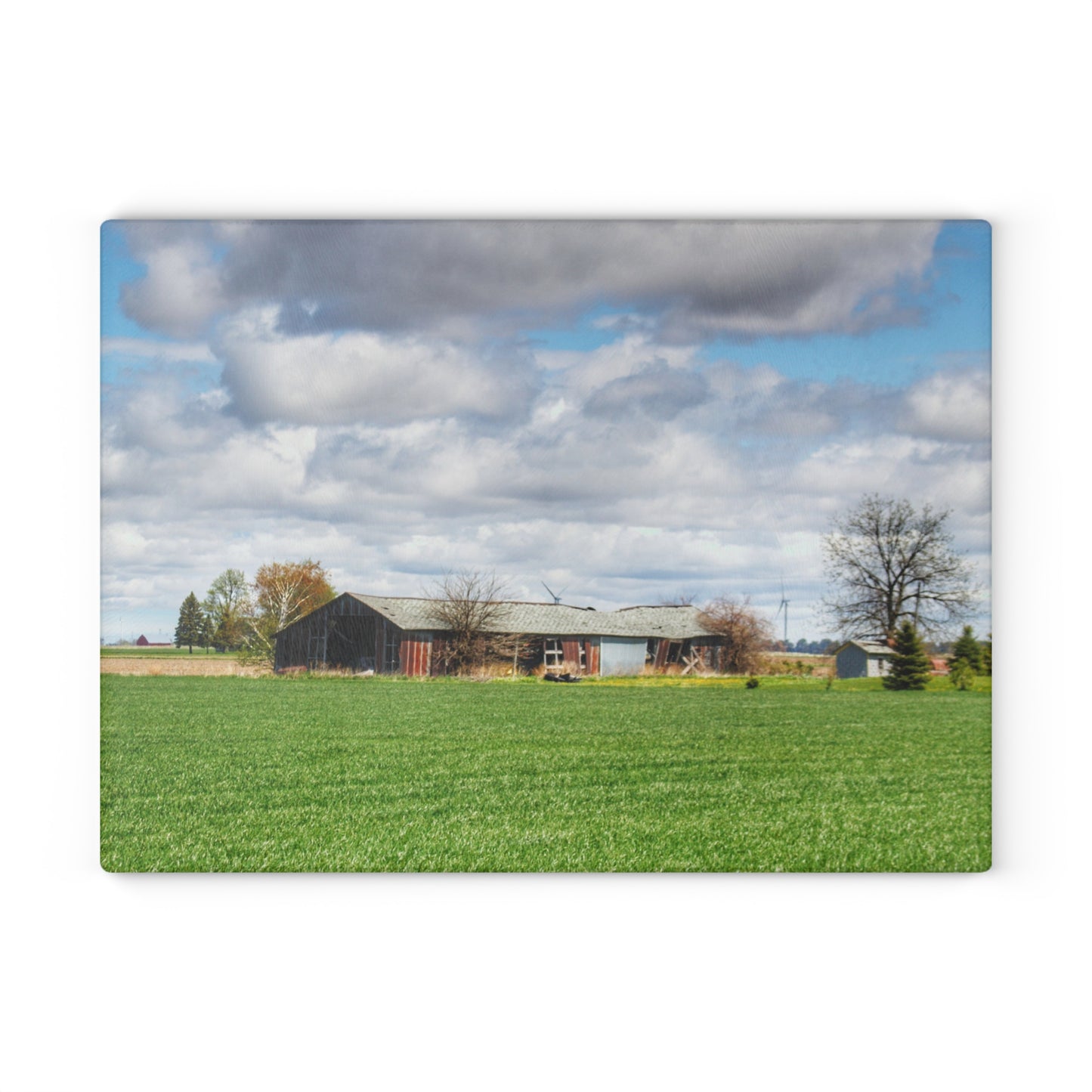 U R There Photography Rescue Road Rusted Shack Rustic Farmhouse Tempered-Glass Cutting Board