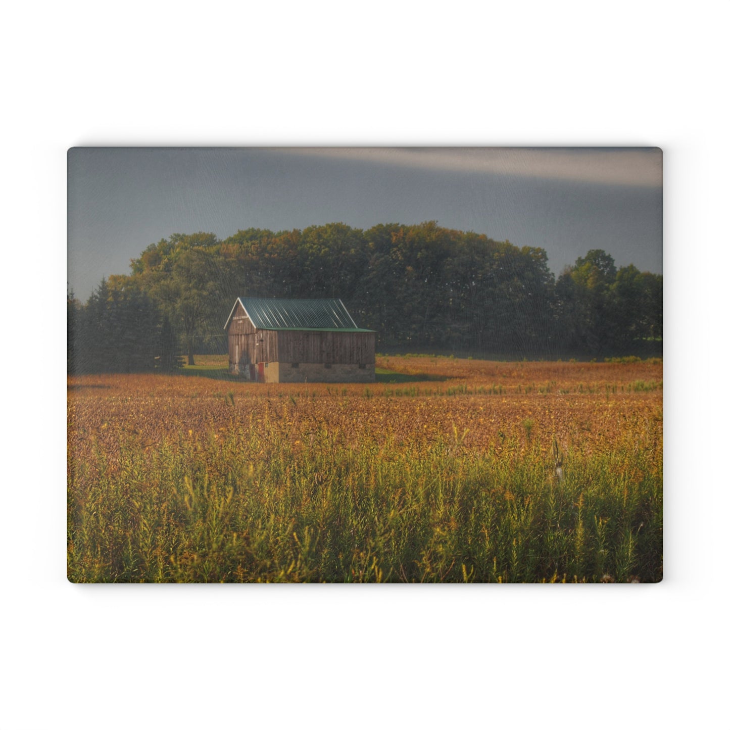 U R There Photography Snover Grey I Rustic Farmhouse Tempered-Glass Cutting Board