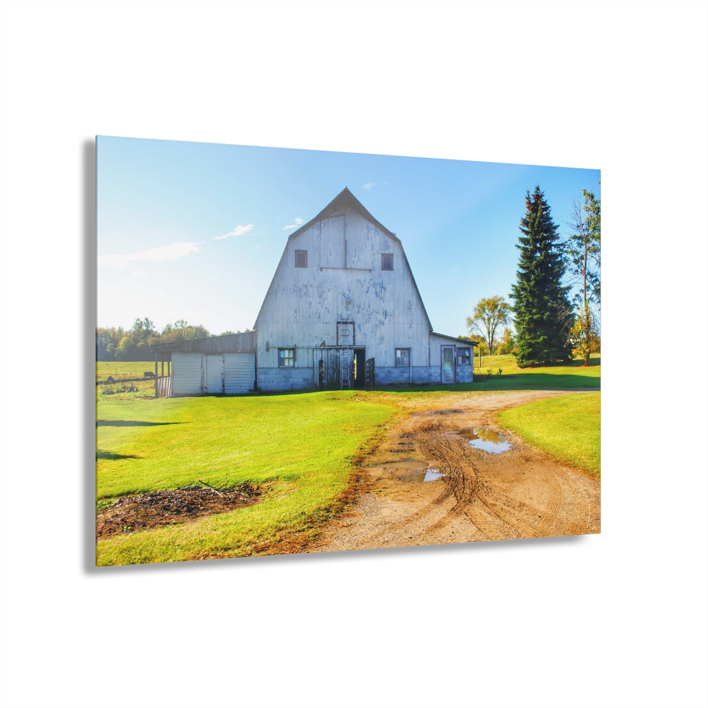 U R There Photography Yale Fremont Road Grey Rustic Farmhouse Acrylic Wall Print
