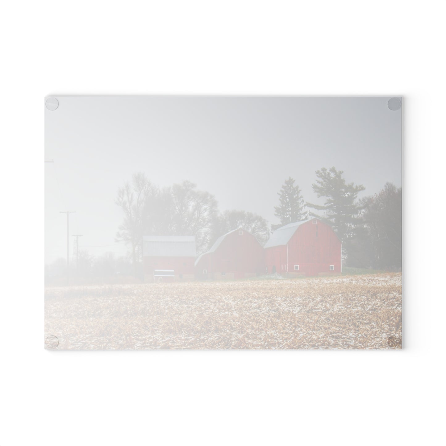 U R There Photography Shoemaker Road Winter Reds II Rustic Farmhouse Tempered-Glass Cutting Board