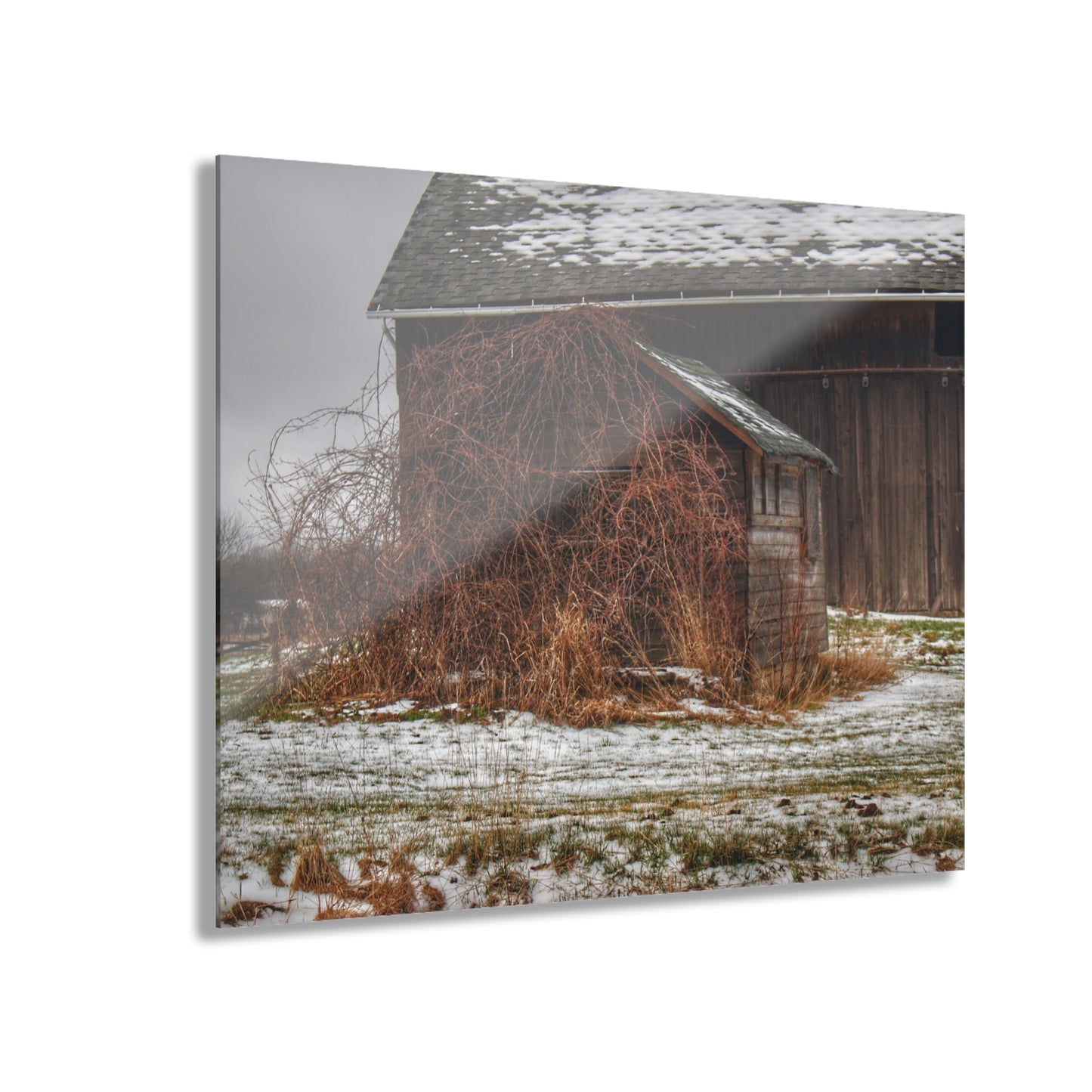 U R There Photography Wilder Road Little Grey Rustic Farmhouse Acrylic Wall Print