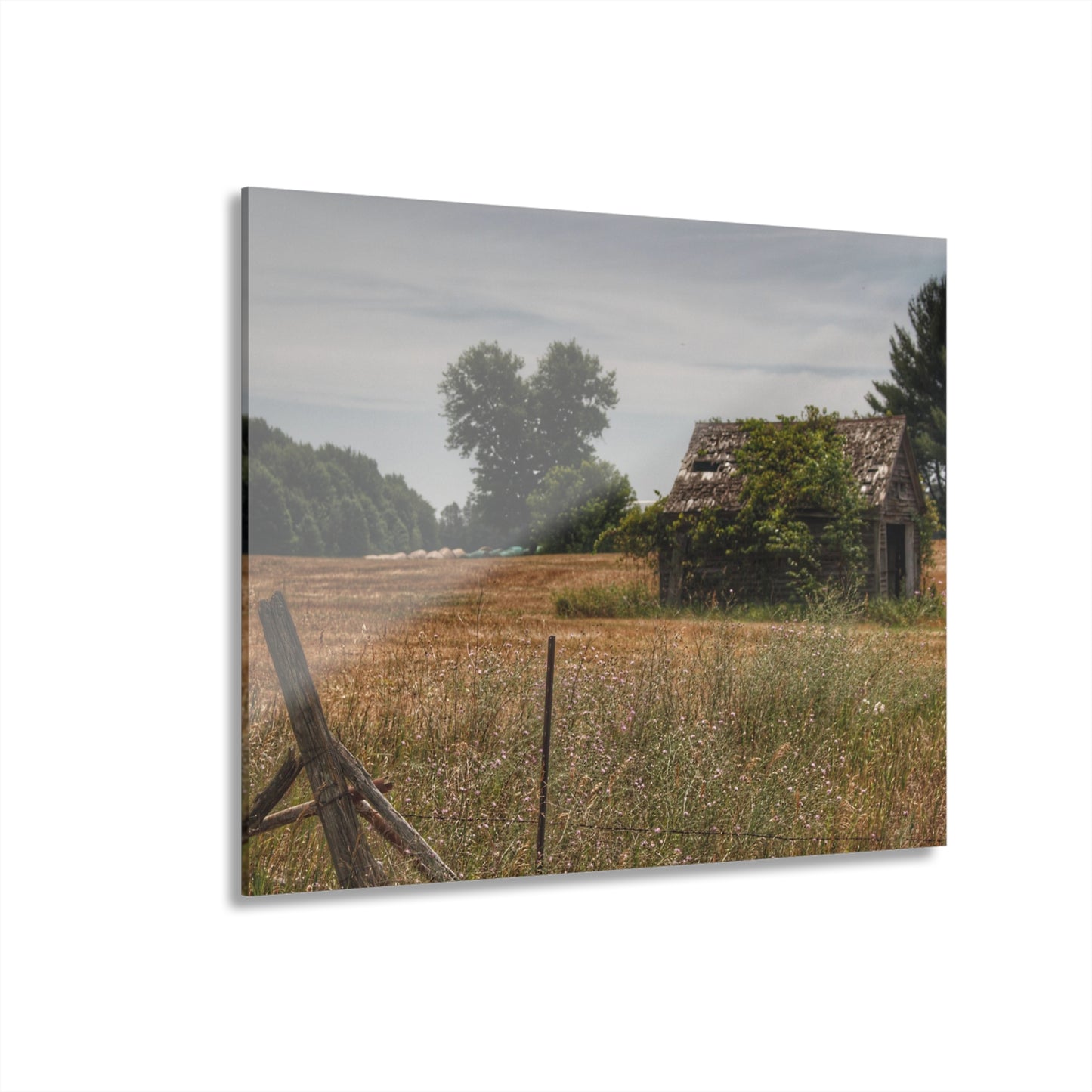 U R There Photography U R There Photography Waterman Road Shack Beyond the Fence Rustic Farmhouse Acrylic Wall Print