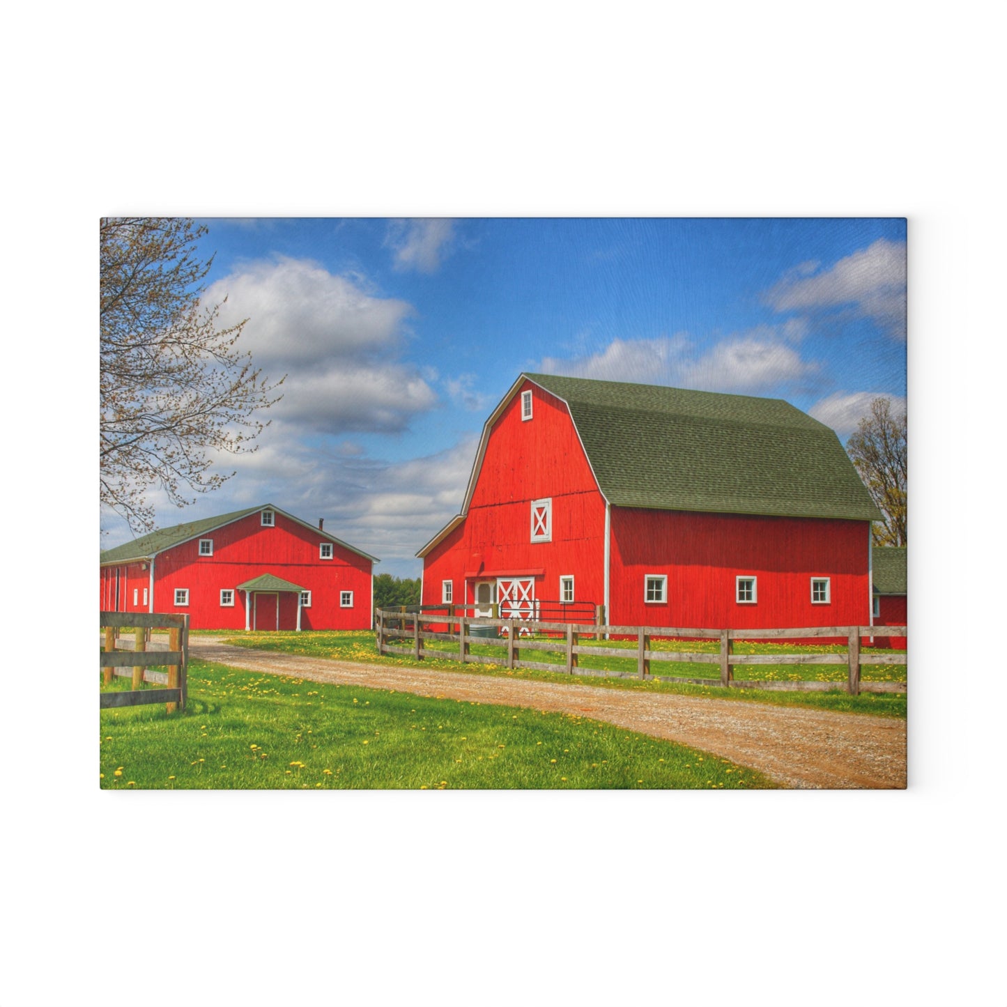 U R There Photography Sohn Road Reds Rustic Farmhouse Tempered-Glass Cutting Board