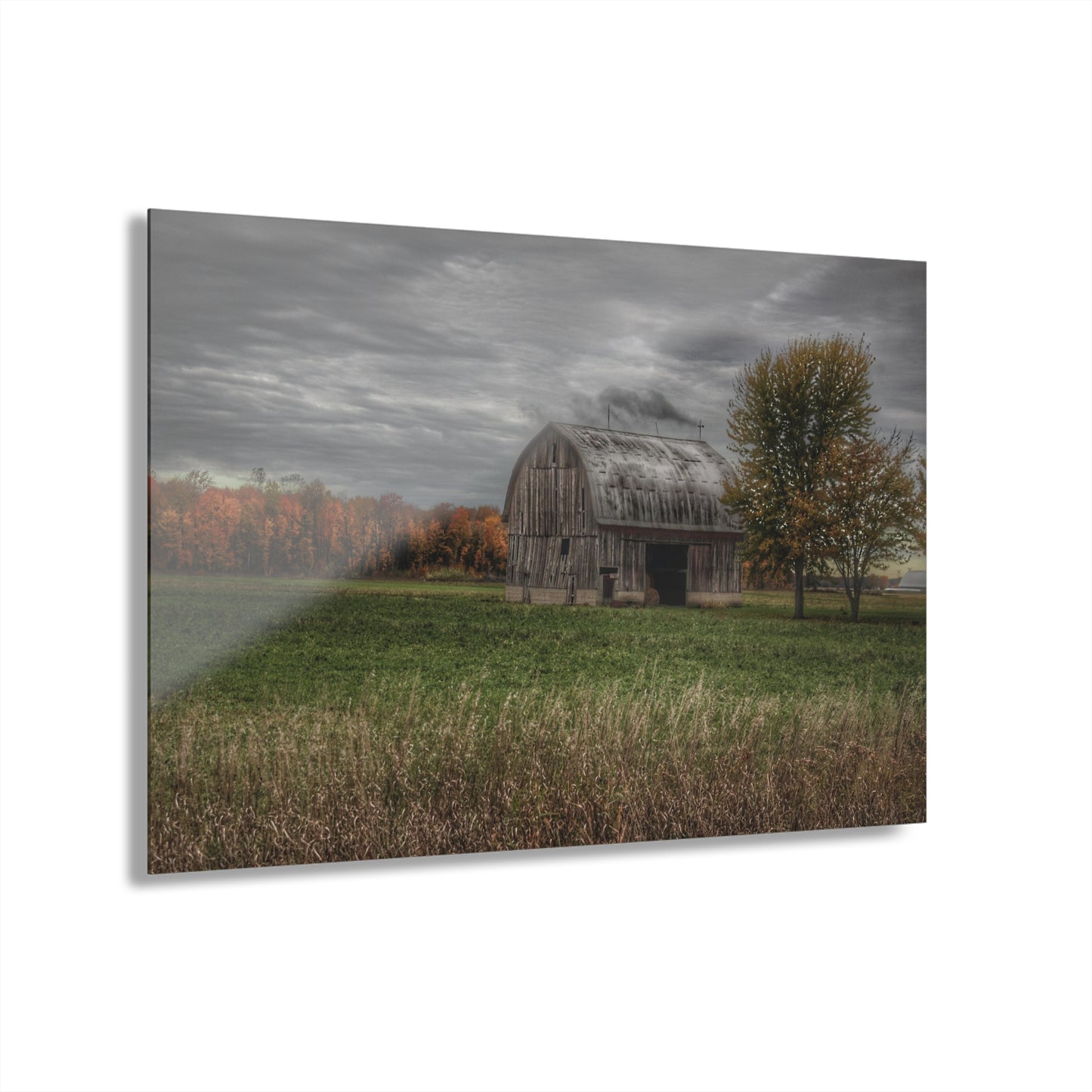 U R There Photography Bray Road Grey in the Fall Rustic Farmhouse Acrylic Wall Print