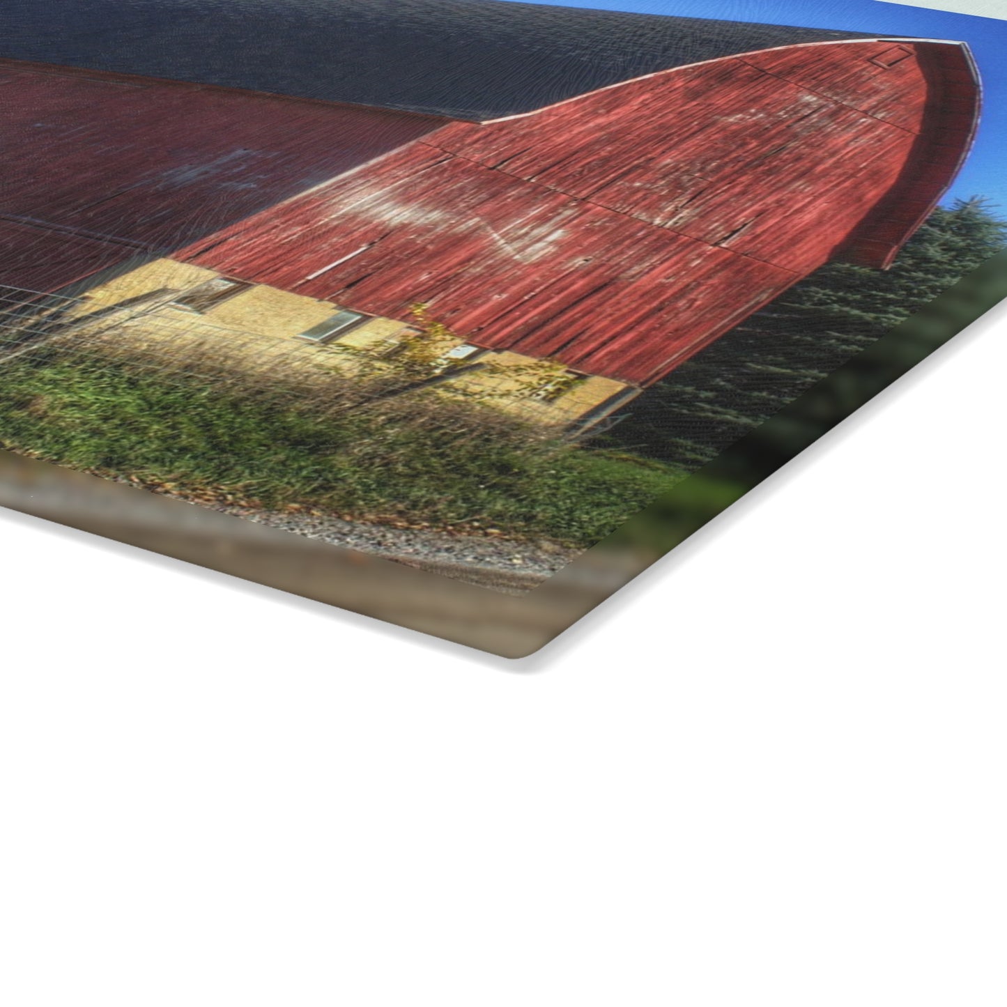 U R There Photography Big Red II Rustic Farmhouse Tempered-Glass Cutting Board