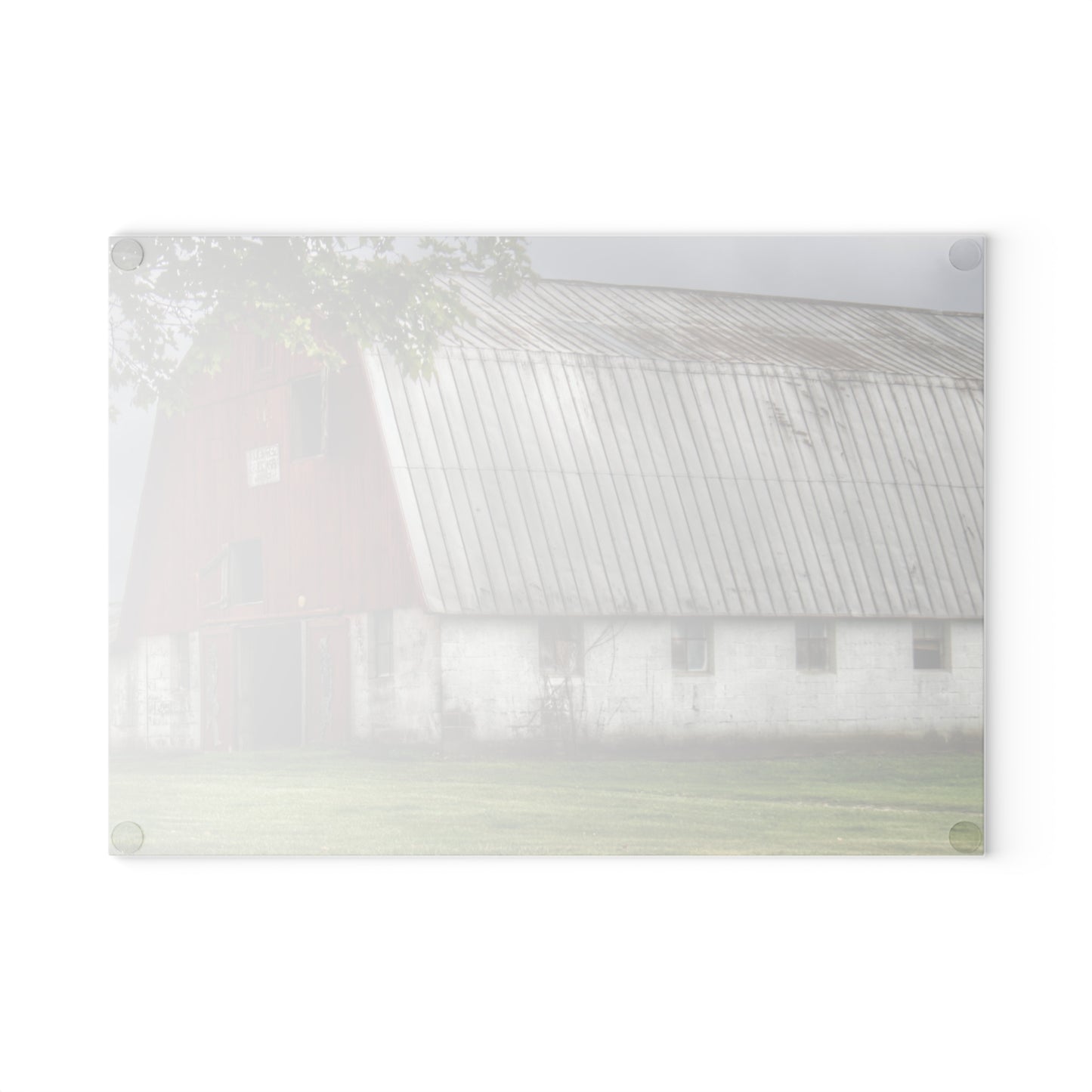 U R There Photography Peters Red Appaloosa III Rustic Farmhouse Tempered-Glass Cutting Board