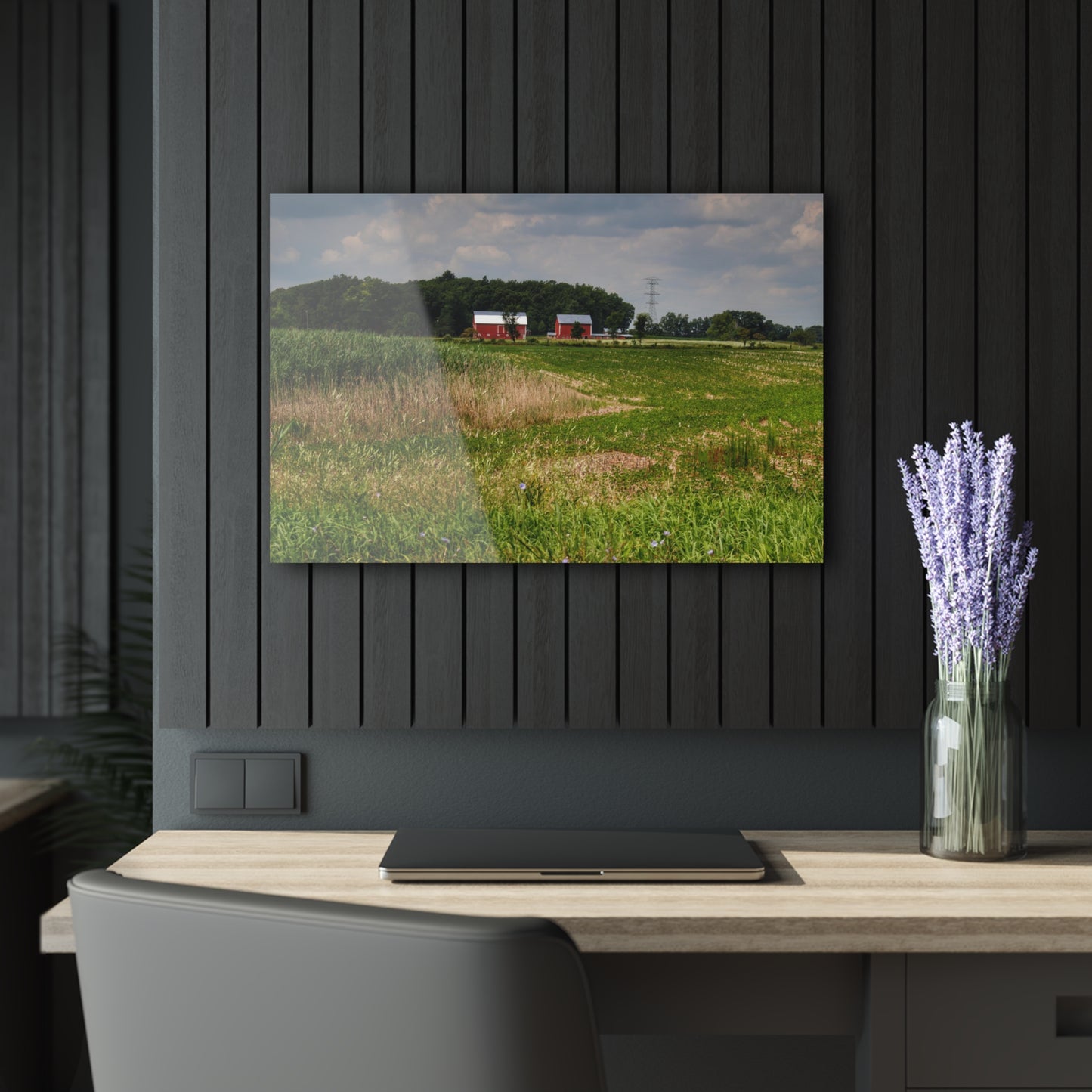 Rustic Farmhouse Wall Print Featuring Across the Field in Elba II
