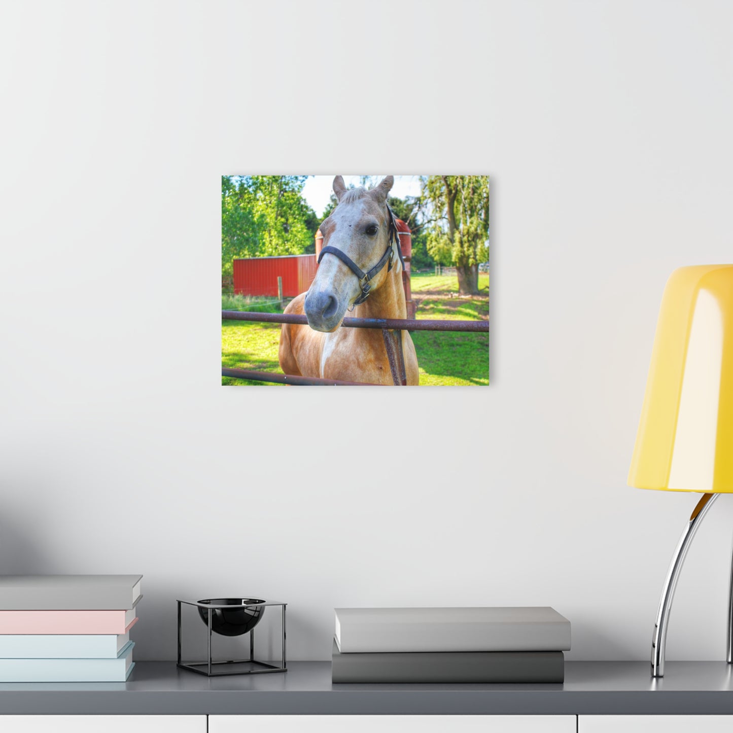 U R There Photography White Cream Mare of Hollenbeck Rustic Farmhouse Acrylic Wall Print 14 "x 11"