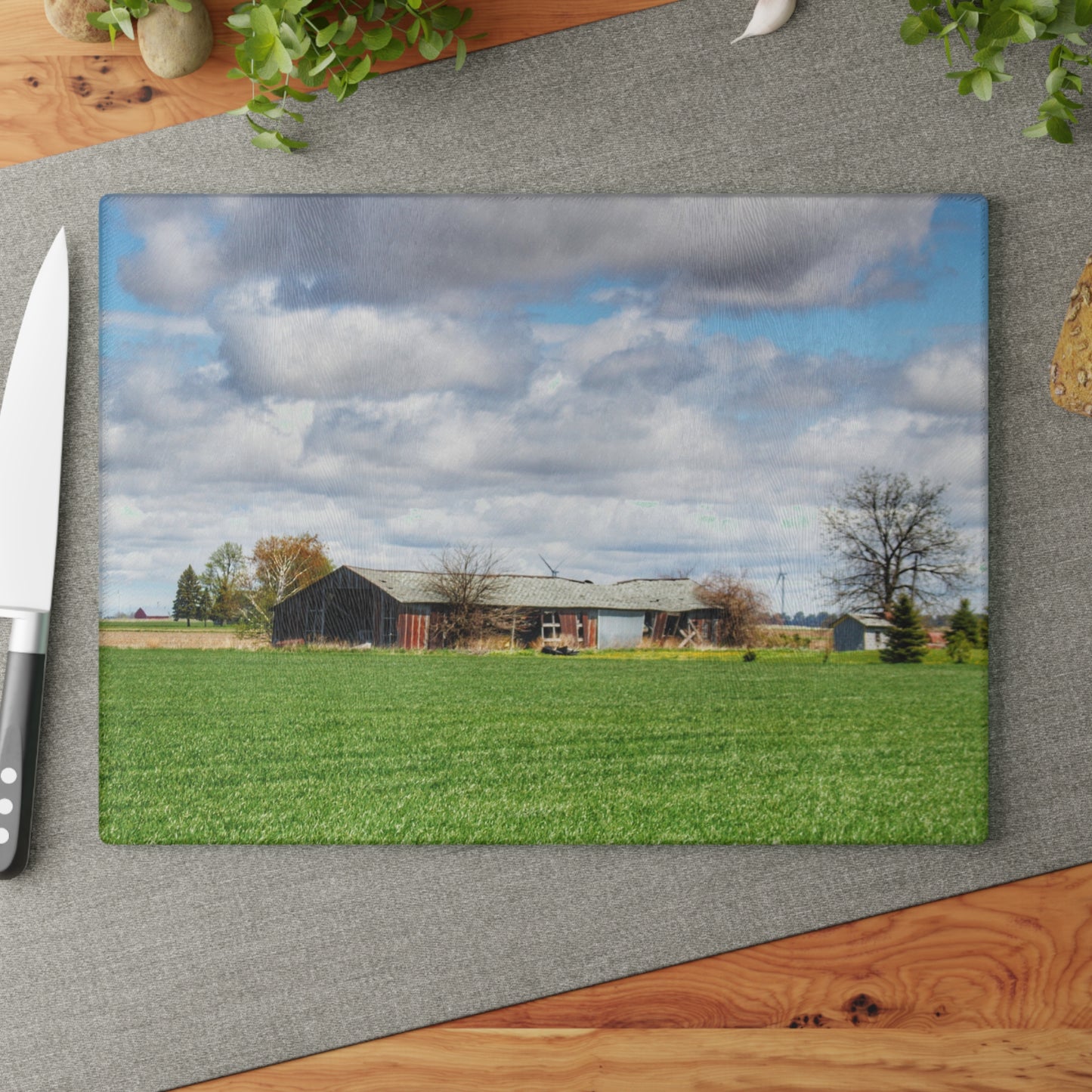 U R There Photography Rescue Road Rusted Shack Rustic Farmhouse Tempered-Glass Cutting Board