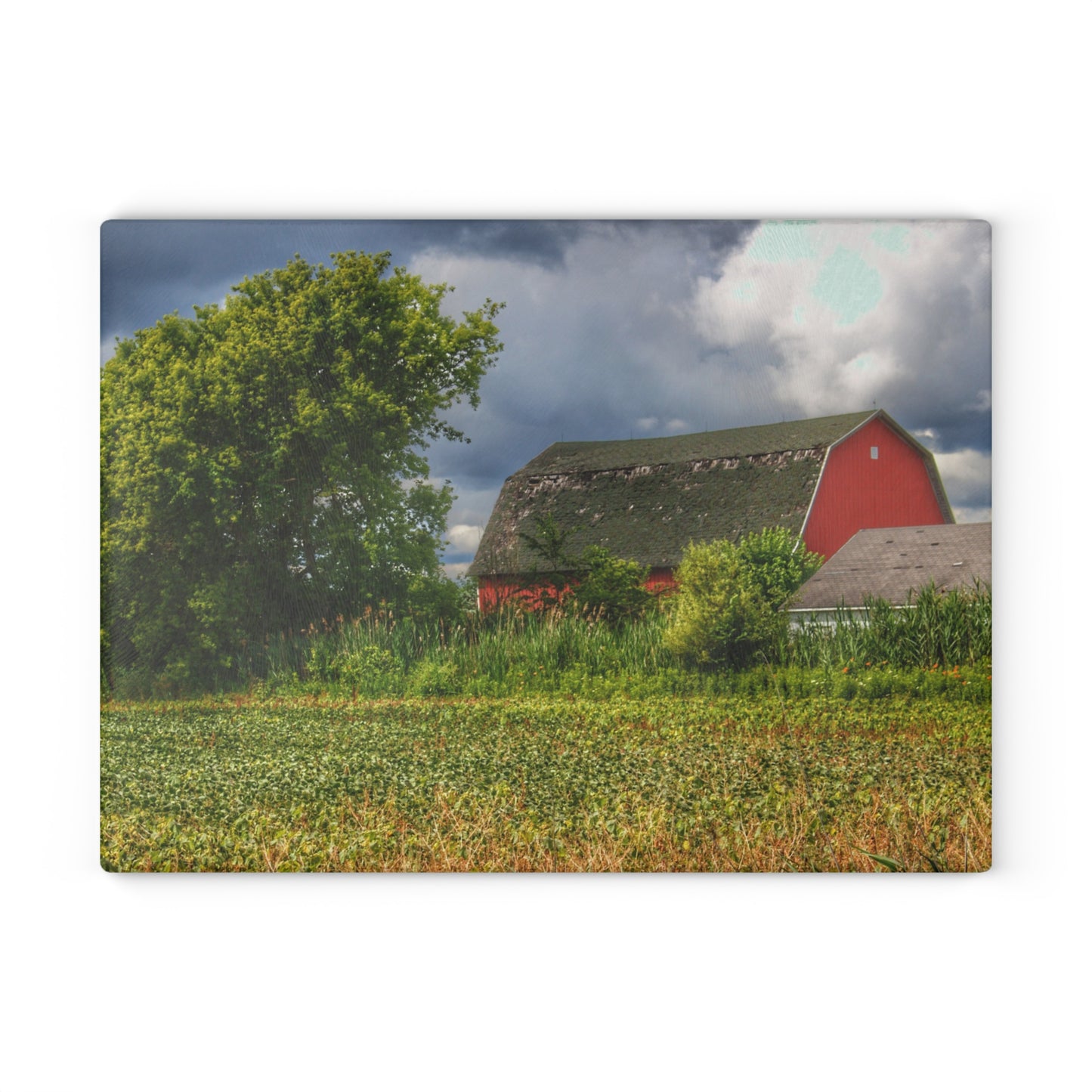U R There Photography Shelby Red IV Rustic Farmhouse Tempered-Glass Cutting Board