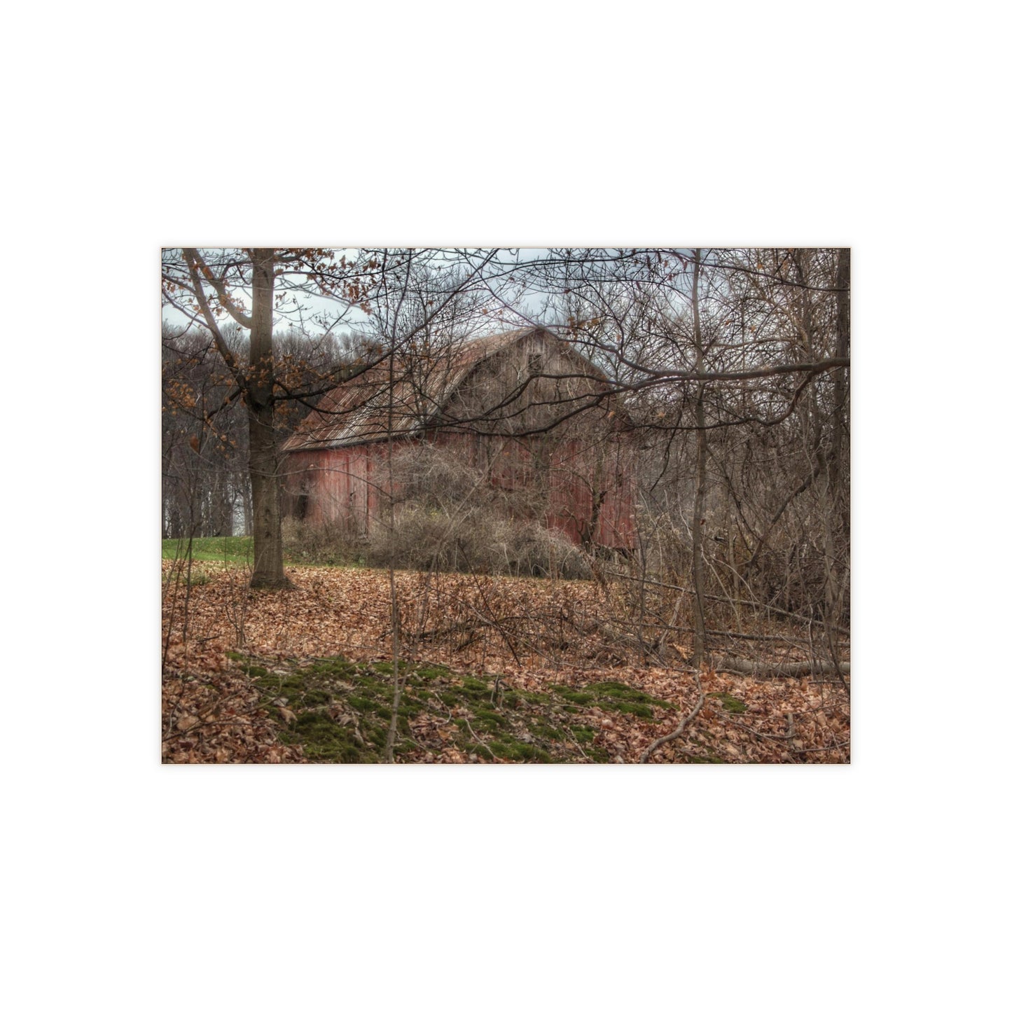 Rustic Farmhouse Wall Tile featuring Mayville Hidden Barn II