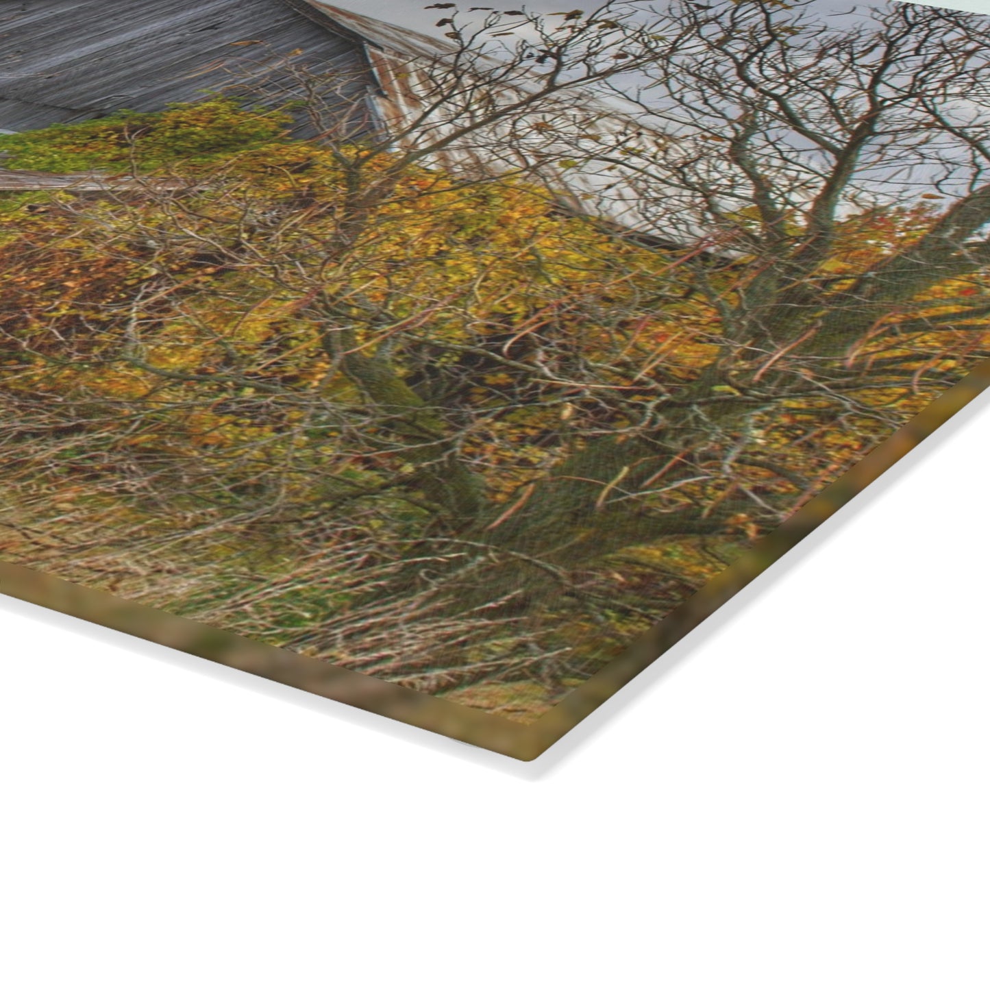 U R There Photography Church Road Grey IV Rustic Farmhouse Tempered-Glass Cutting Board