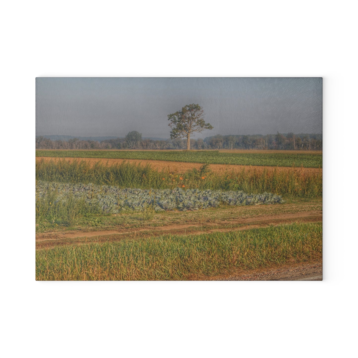 U R There Photography Cabbage and Pumpkin Patch Rustic Farmhouse Tempered-Glass Cutting Board