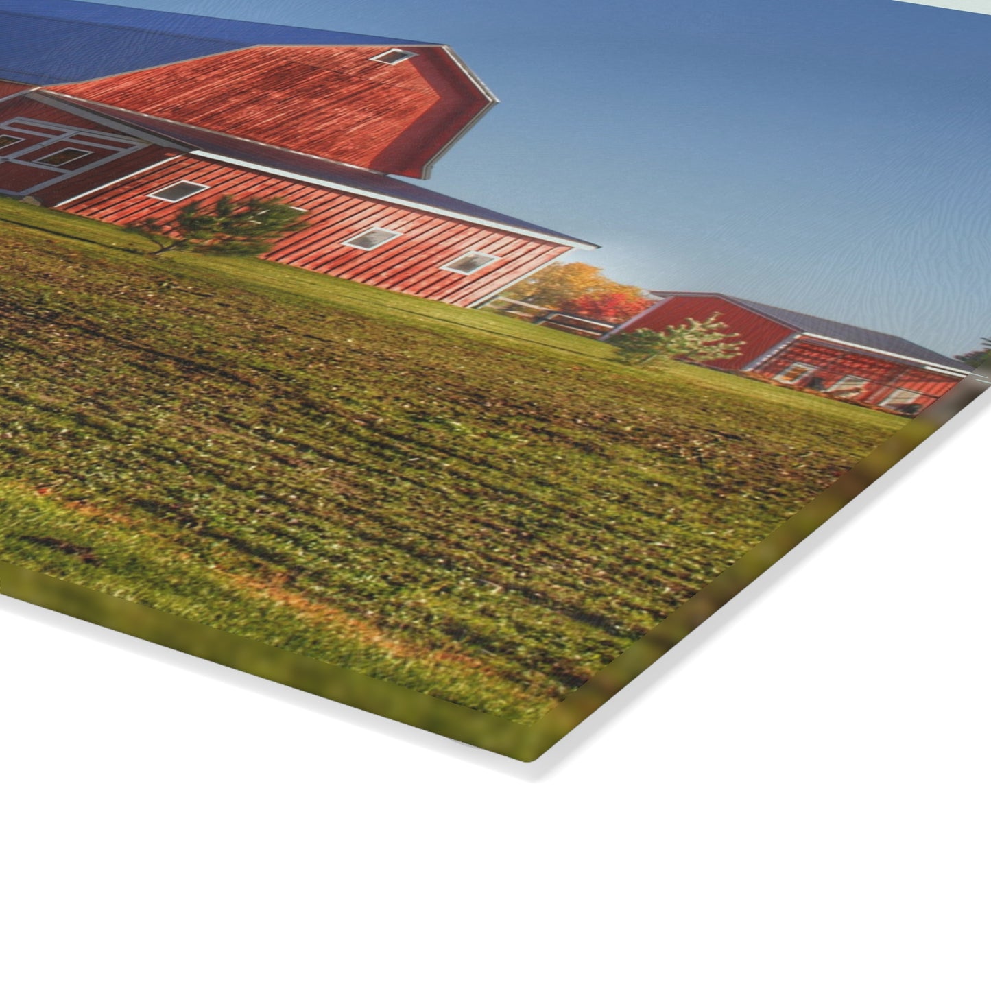 U R There Photography Shoemaker Road Red Rustic Farmhouse Tempered-Glass Cutting Board