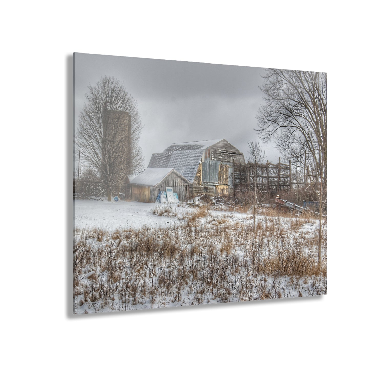 U R There Photography Vermilya Grey and Silo Rustic Farmhouse Acrylic Wall Print