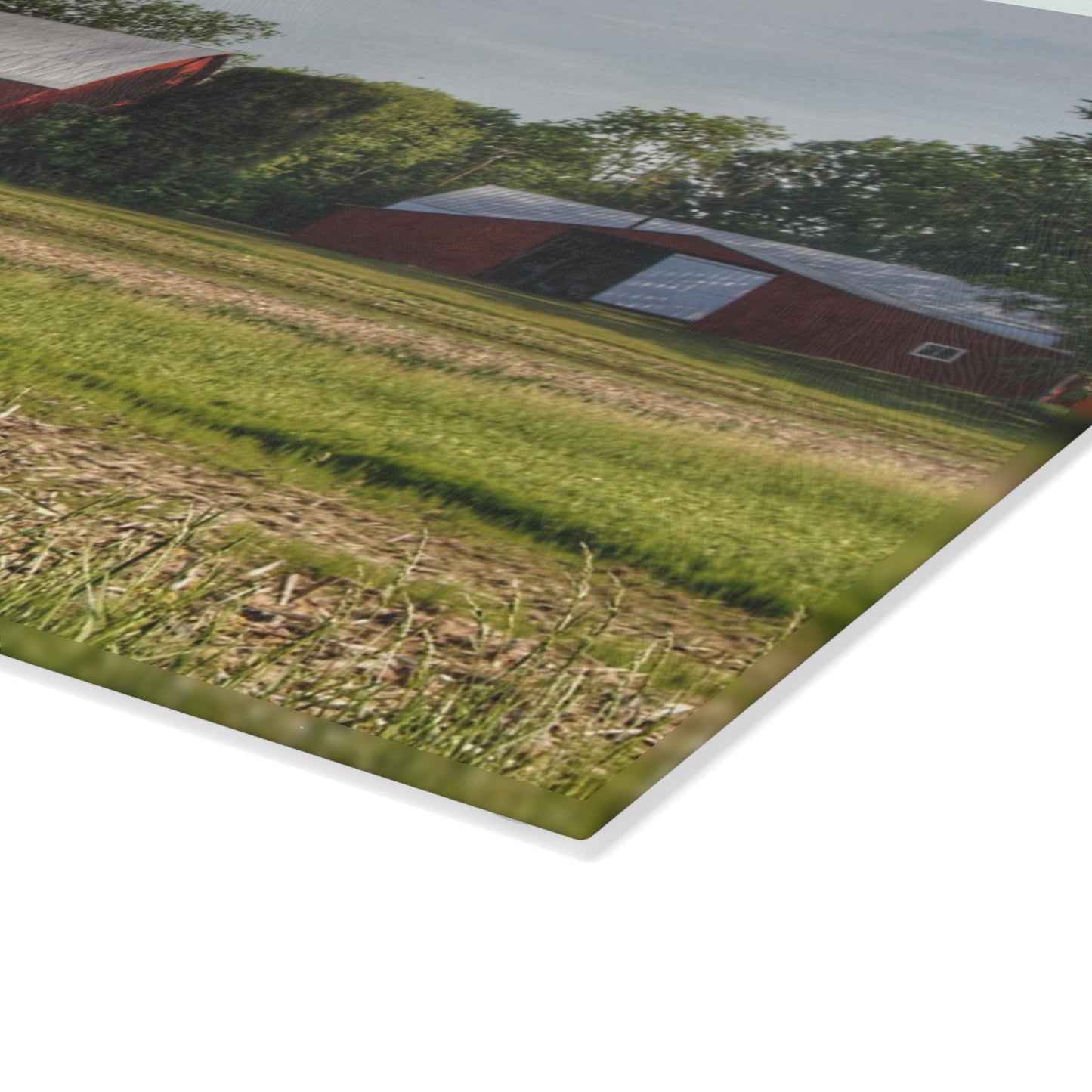 U R There Photography Catlin Road Reds Rustic Farmhouse Tempered-Glass Cutting Board