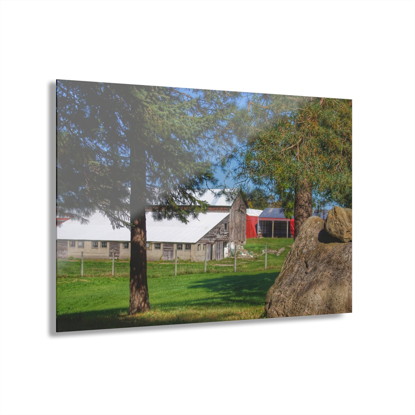 U R There Photography Oakwood Road Old Grey Rustic Farmhouse Acrylic Wall Print