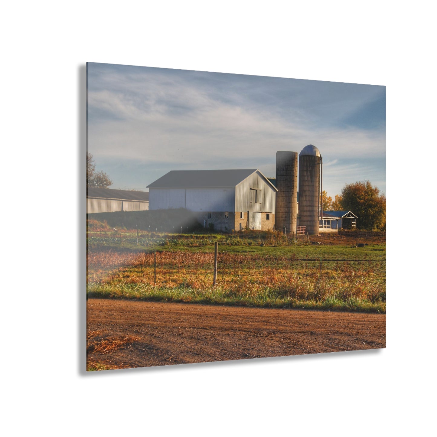 U R There Photography Cade Road White Rustic Farmhouse Acrylic Wall Print