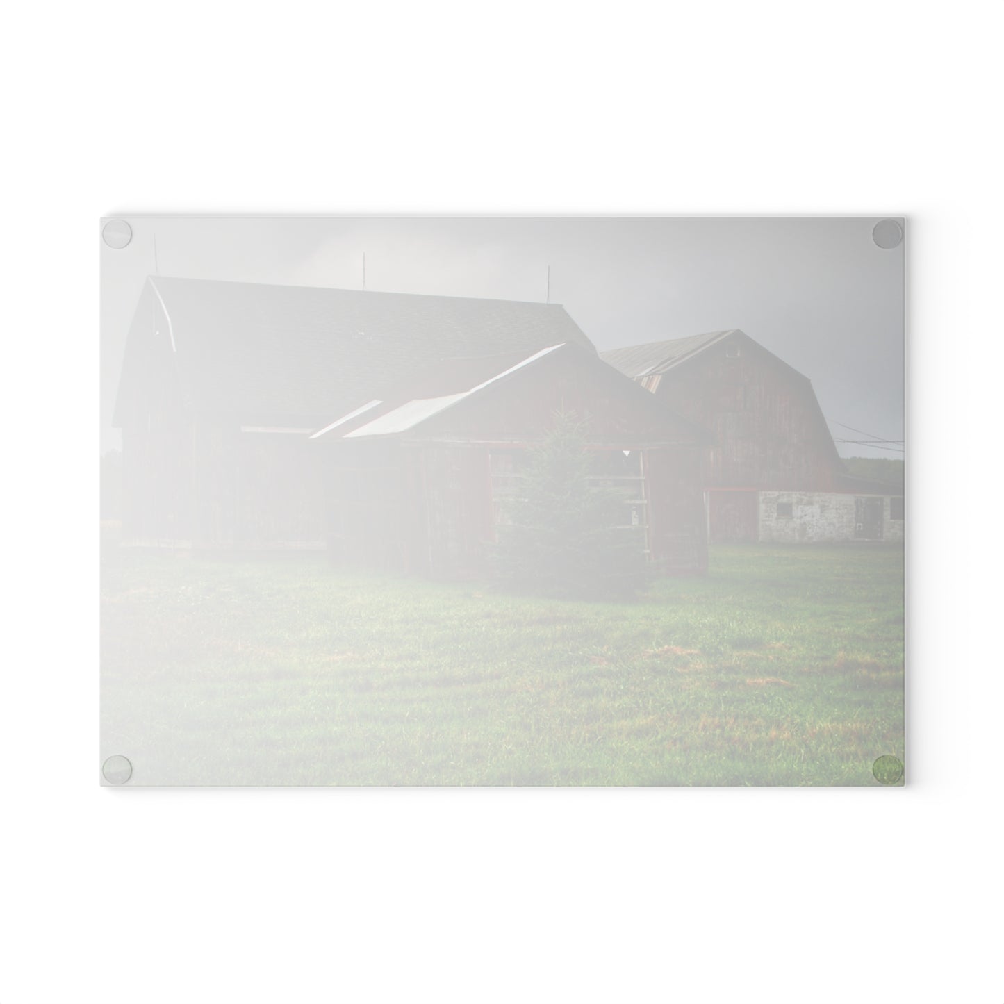 U R There Photography Winslow Road Reds Rustic Farmhouse Tempered-Glass Cutting Board