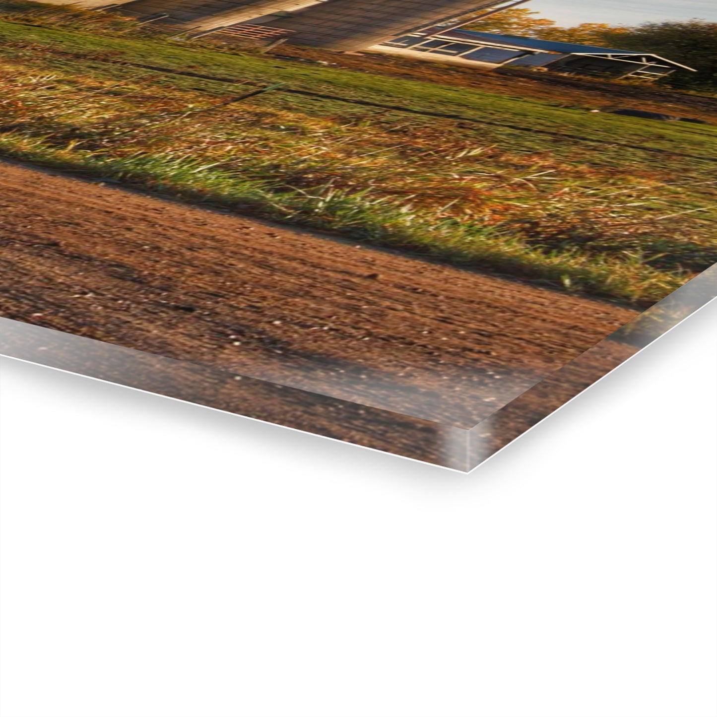 U R There Photography Cade Road White Rustic Farmhouse Acrylic Wall Print