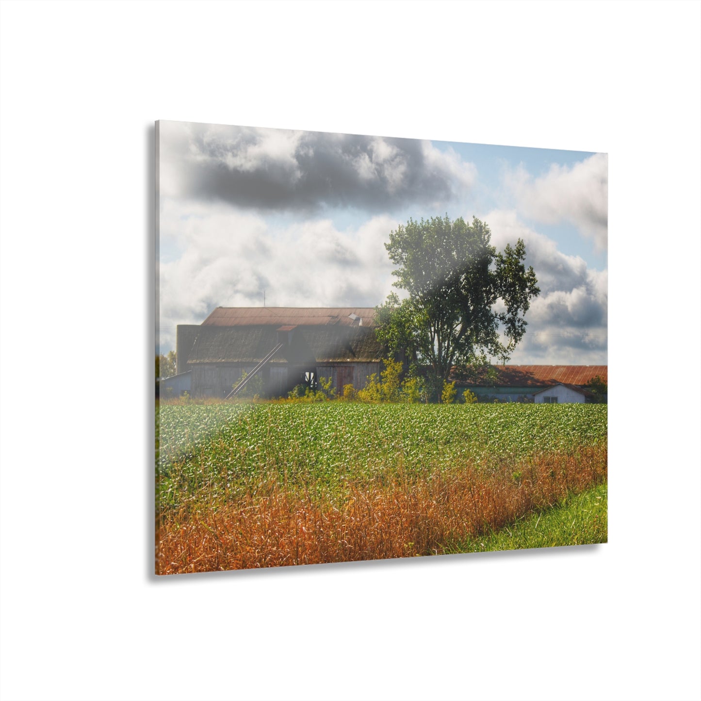 U R There Photography Silverwood Haybarn Rustic Farmhouse Acrylic Wall Print