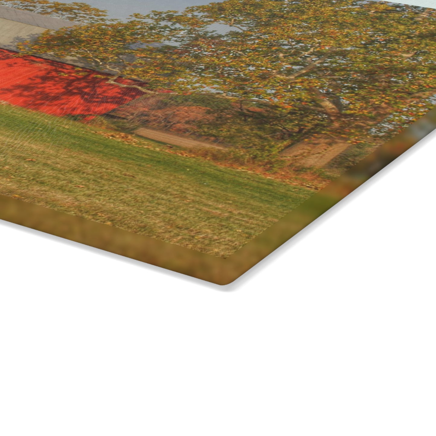 U R There Photography Barkley Road Red I Rustic Farmhouse Tempered-Glass Cutting Board