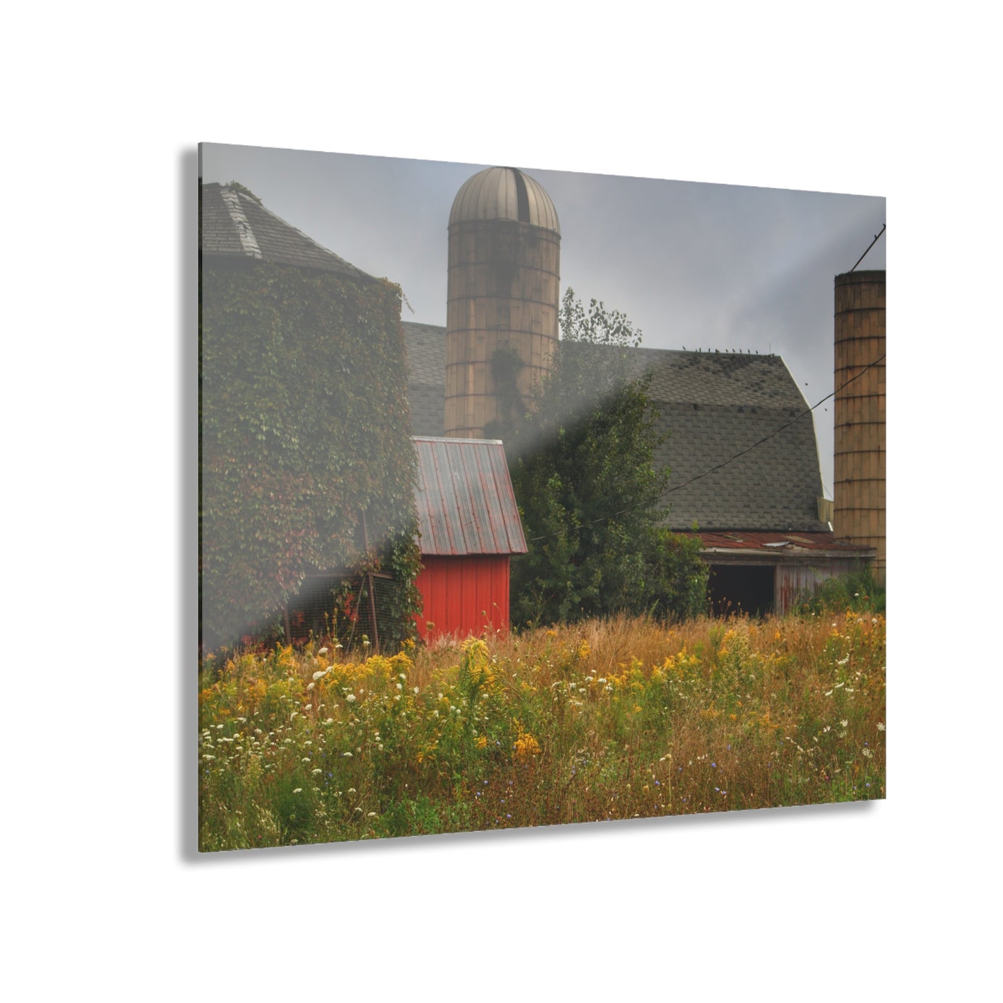 U R There Photography Silos of Otisville Rustic Farmhouse Acrylic Wall Print