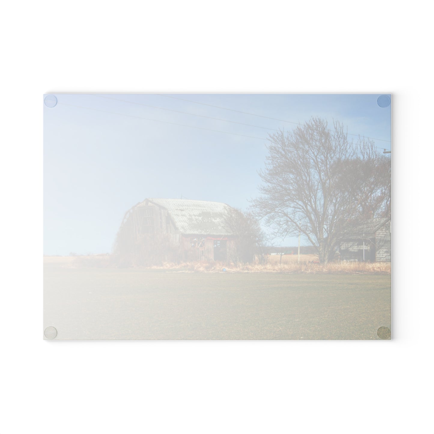 U R There Photography Bay City - Forestville Forgotten Grey Rustic Farmhouse Tempered-Glass Cutting Board