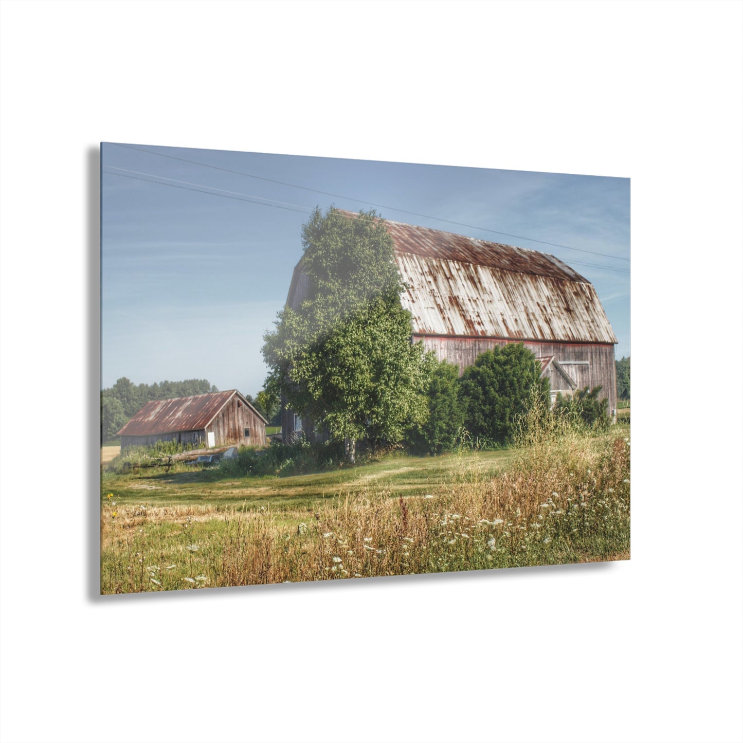 U R There Photography Barkley Road Red in Summer II Rustic Farmhouse Acrylic Wall Print